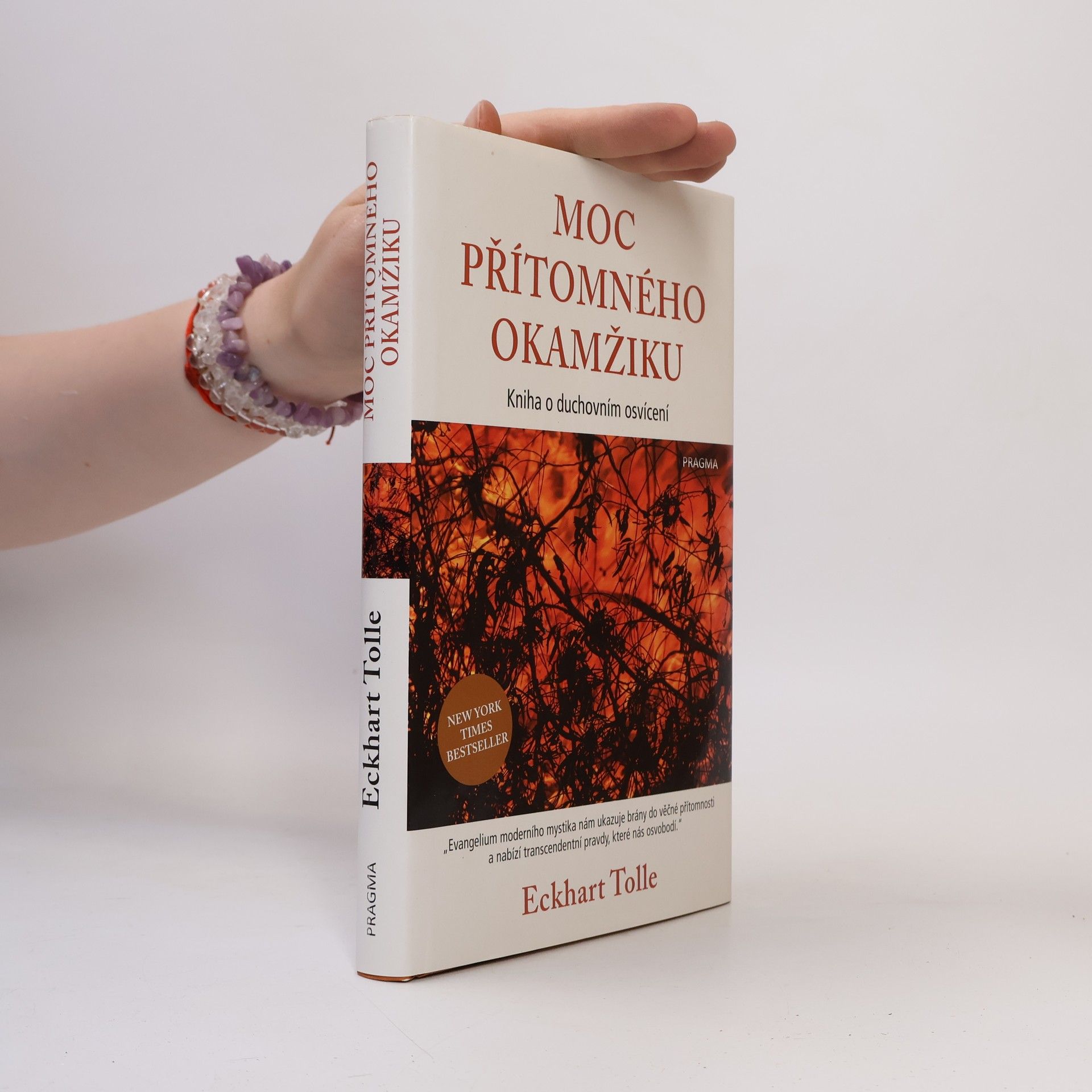 Eckhart Tolle Moc přítomného okamžiku
