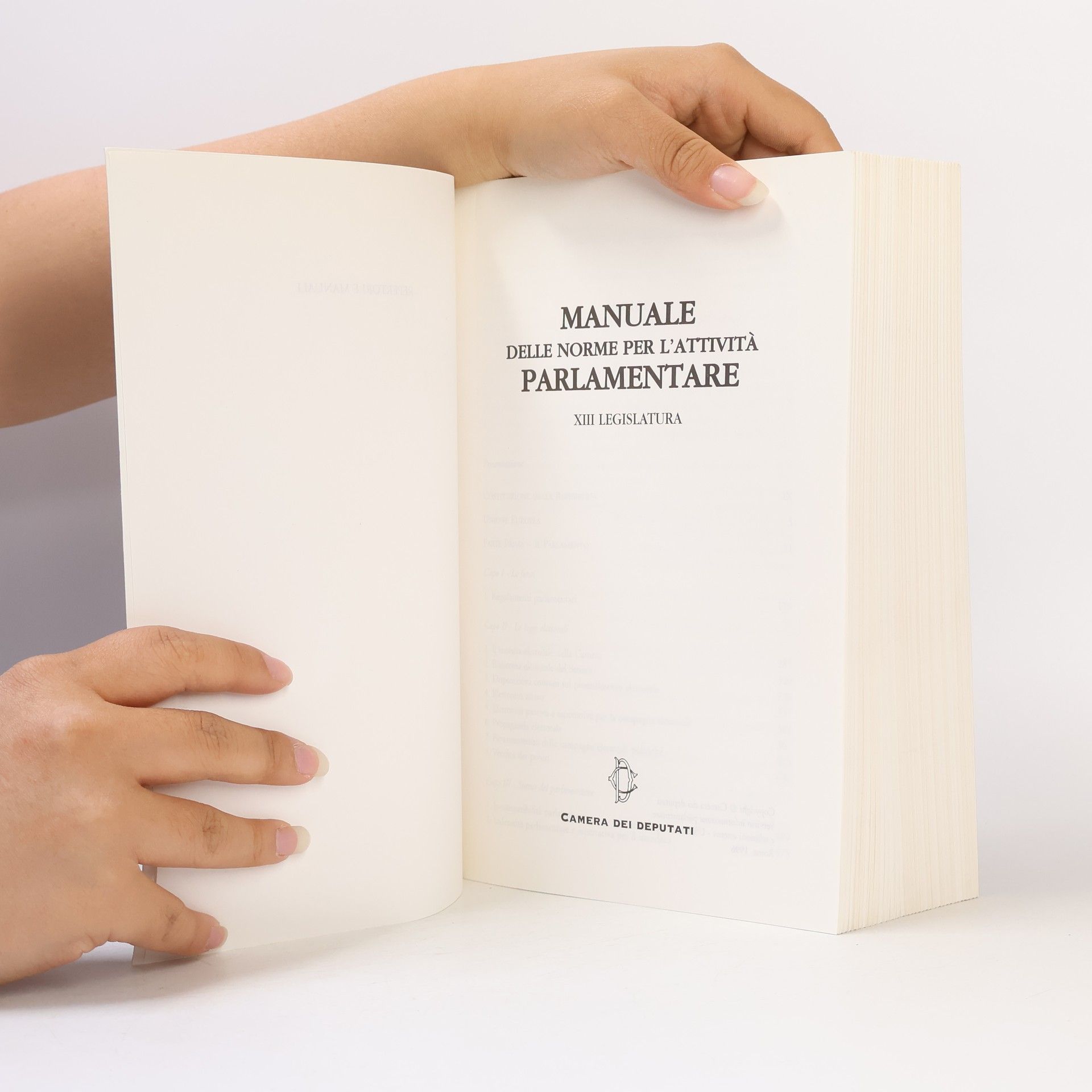 Autorenkollektiv Manuale delle norme per l'attività parlamentare