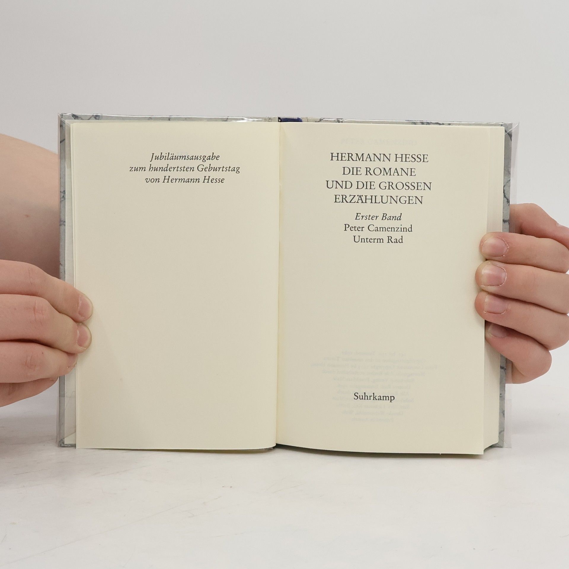 Hermann Hesse Die Romane und die grossen Erzählungen 1