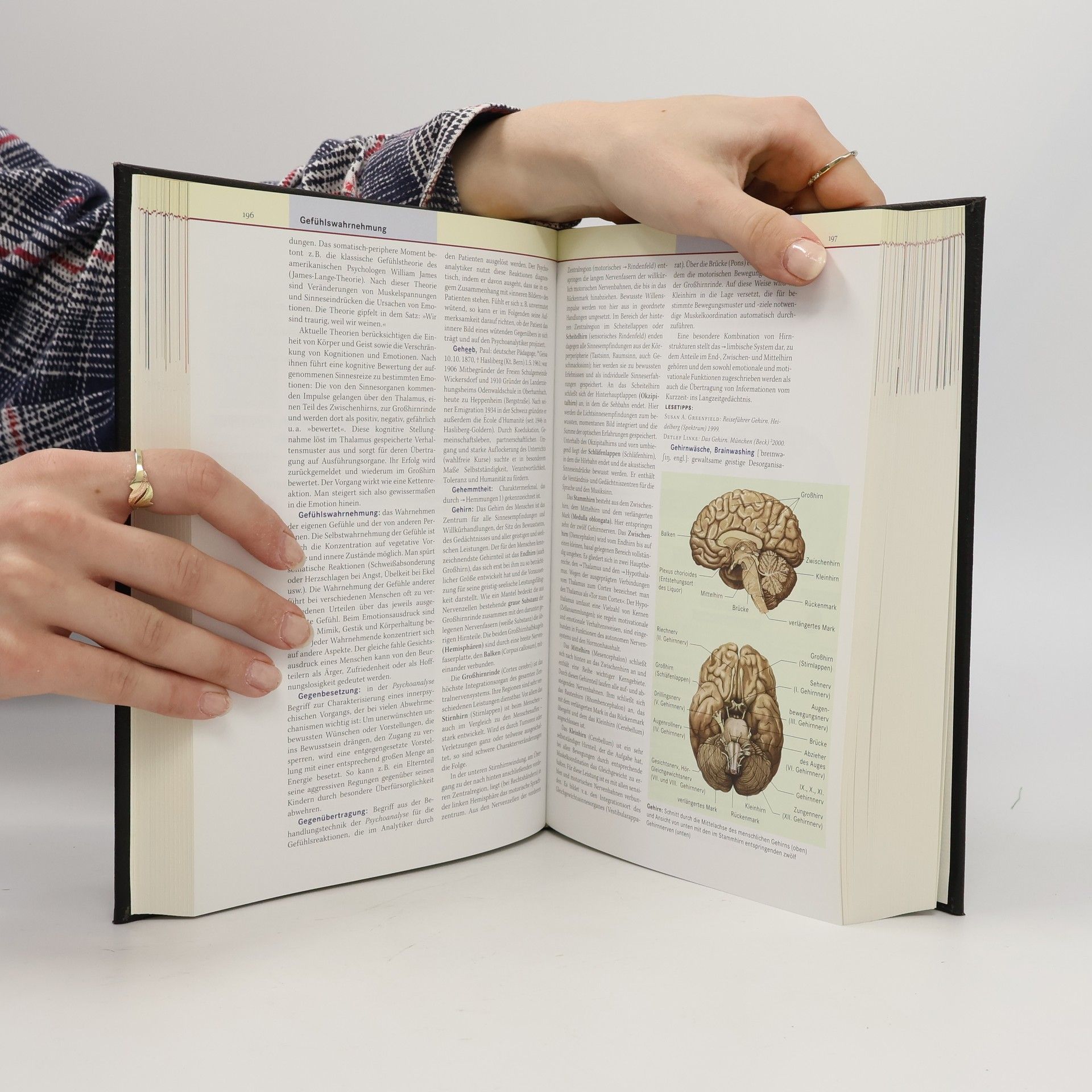 Autorenkollektiv Brockhaus - die Bibliothek : Gesundheit 4. Psychologie
