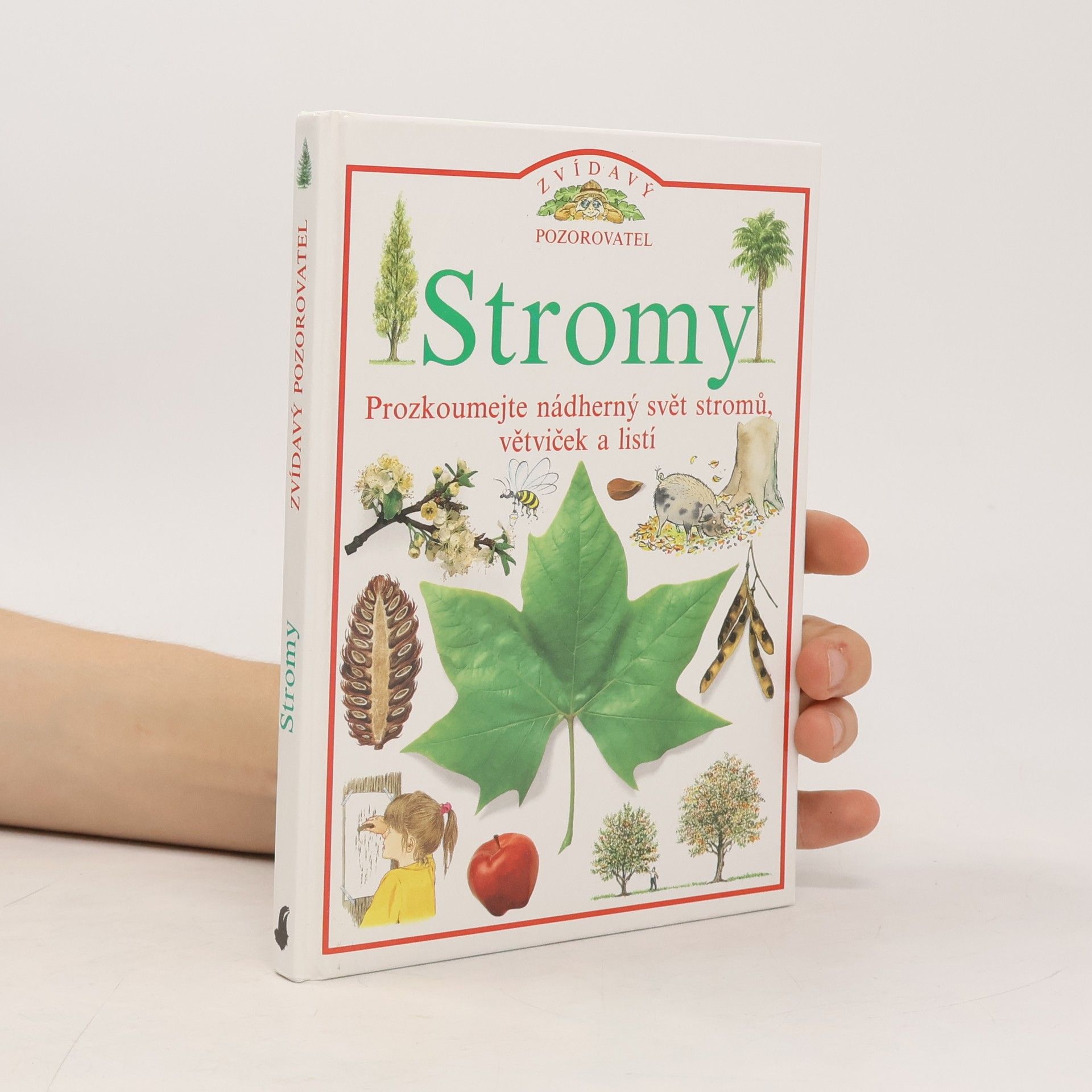 Linda Gamlin Stromy