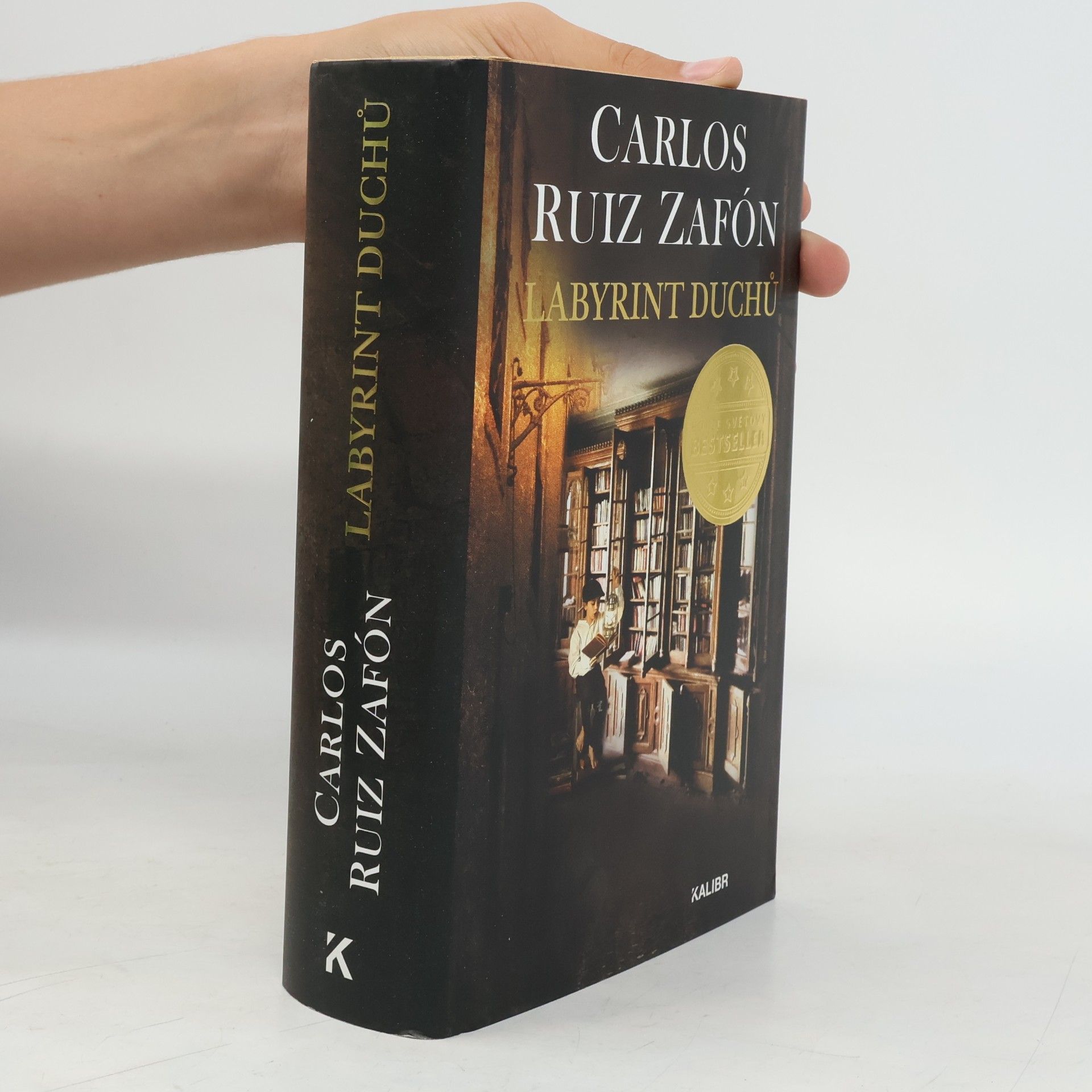 Carlos Ruiz Zafón Labyrint duchů