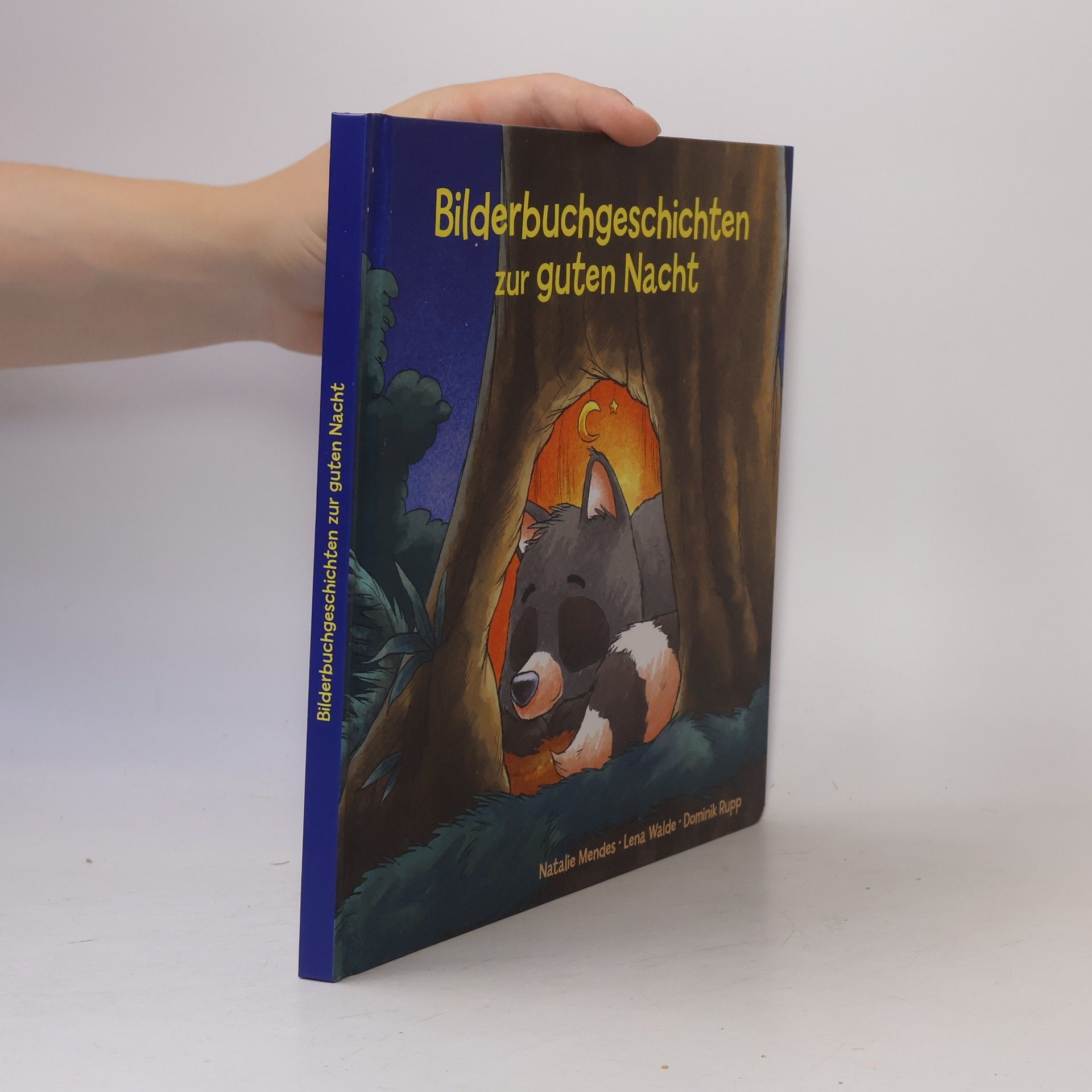 Autorenkollektiv Bilderbuchgeschichten zur guten Nacht
