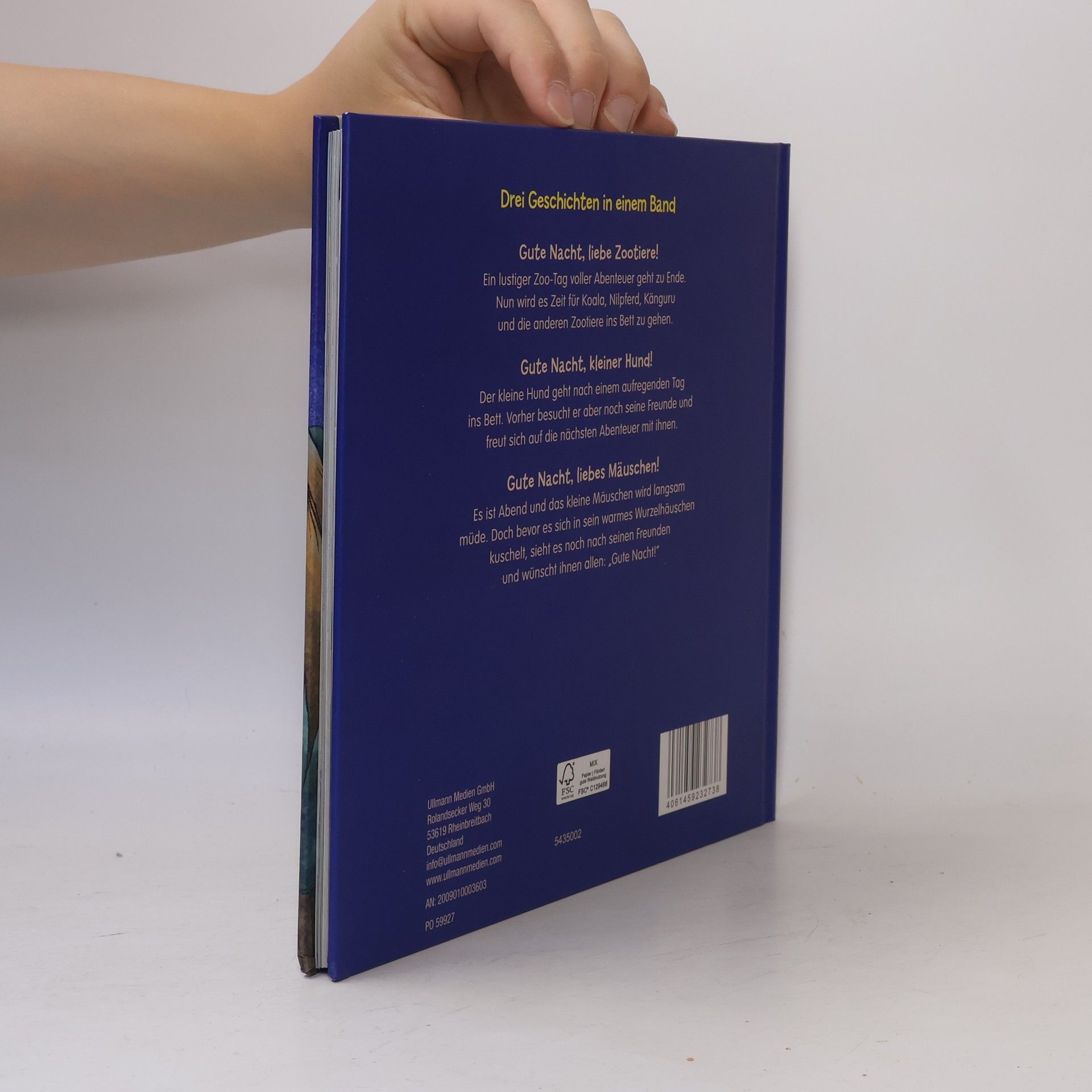 Autorenkollektiv Bilderbuchgeschichten zur guten Nacht