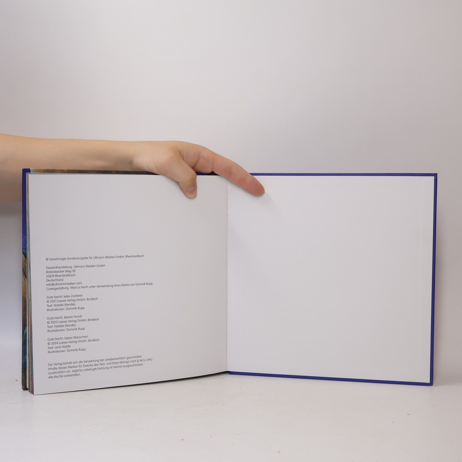 Autorenkollektiv Bilderbuchgeschichten zur guten Nacht