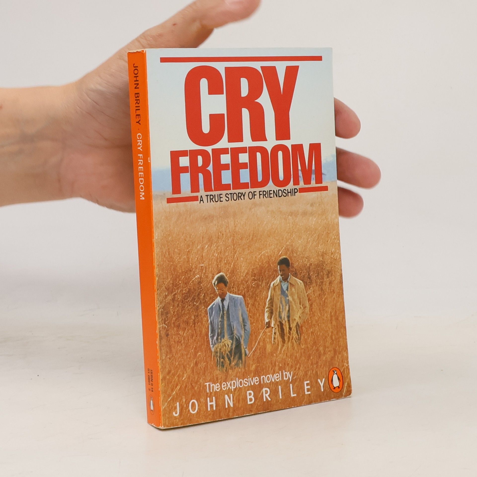 John Briley Cry freedom