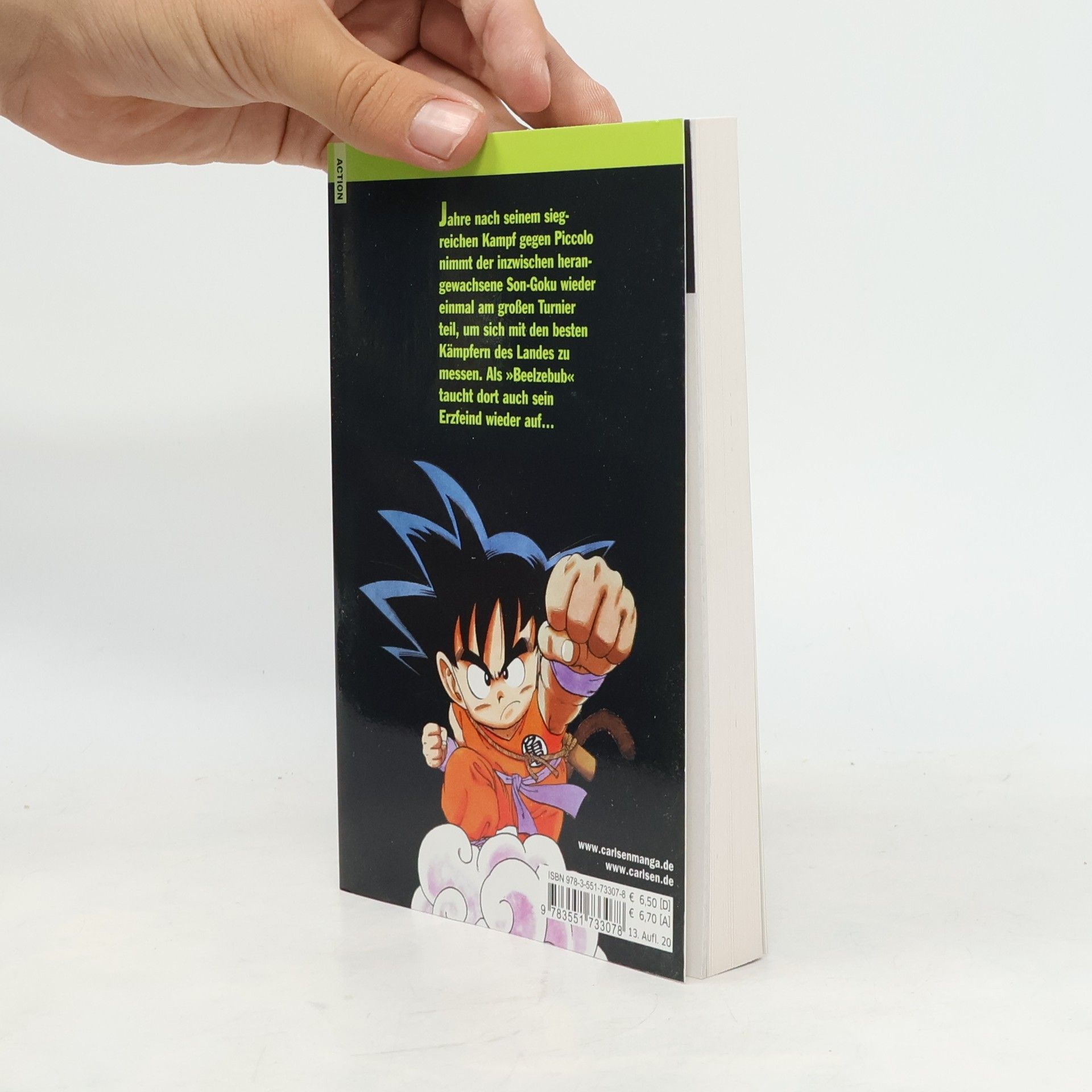 Akira Toriyama Dragon Ball 15