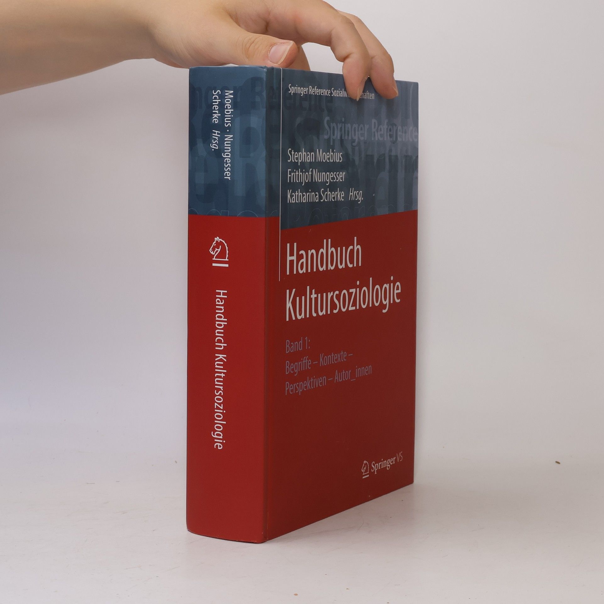 Frithjof Nungesser Springer Reference Sozialwissenschaften - 1: Handbuch Kultursoziologie