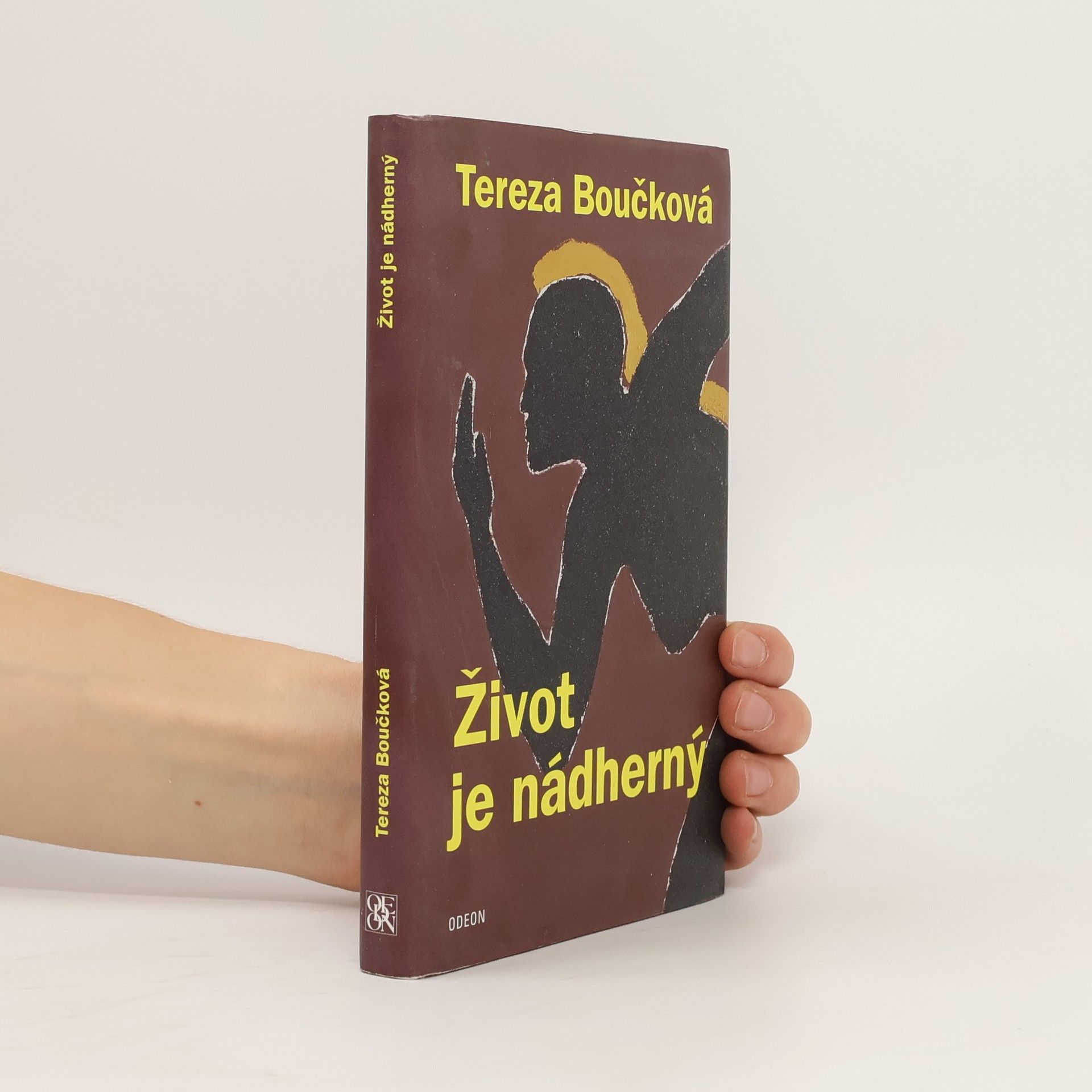 Tereza Boučková Život je nádherný