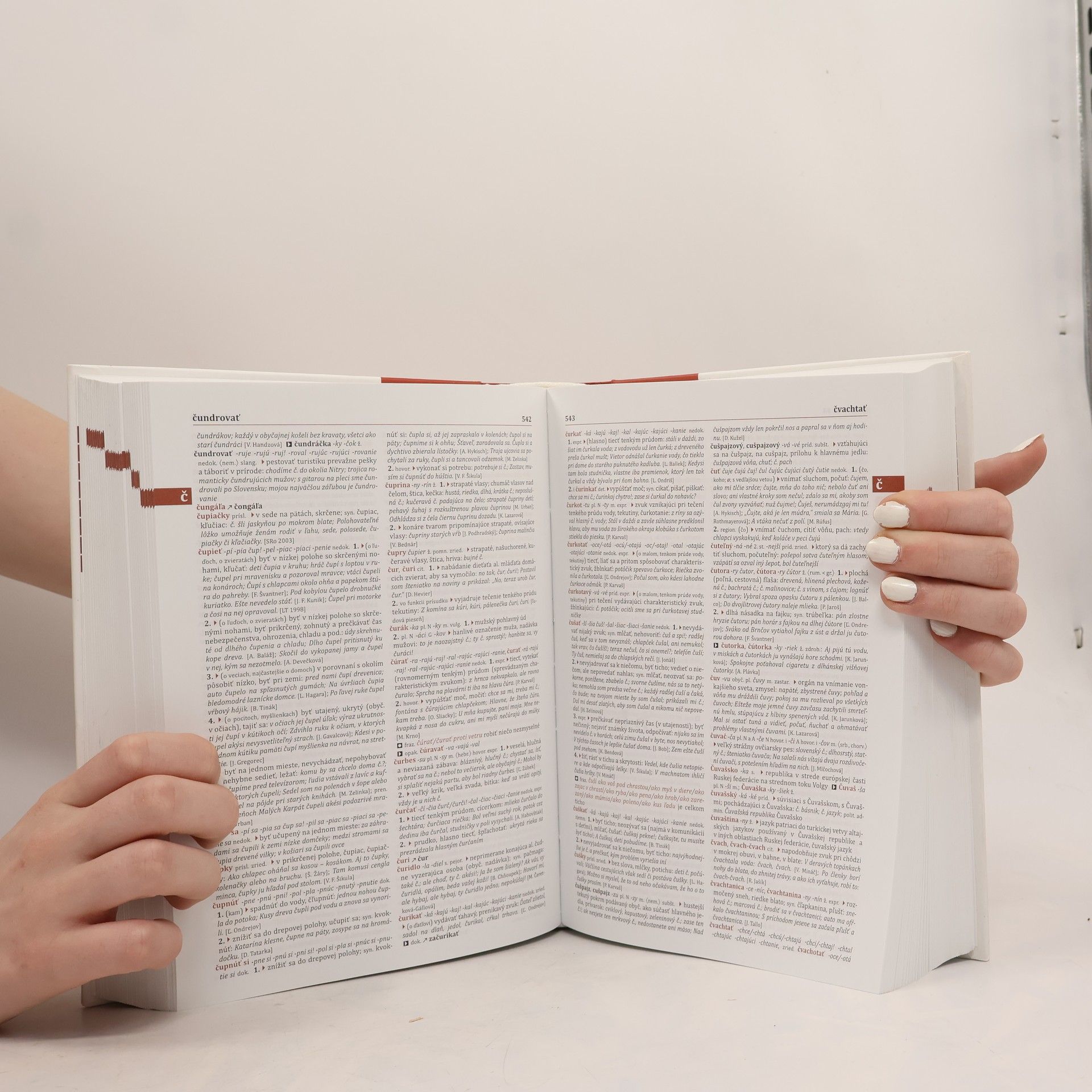 Various authors Slovník súčasného slovenského jazyka (A - G)