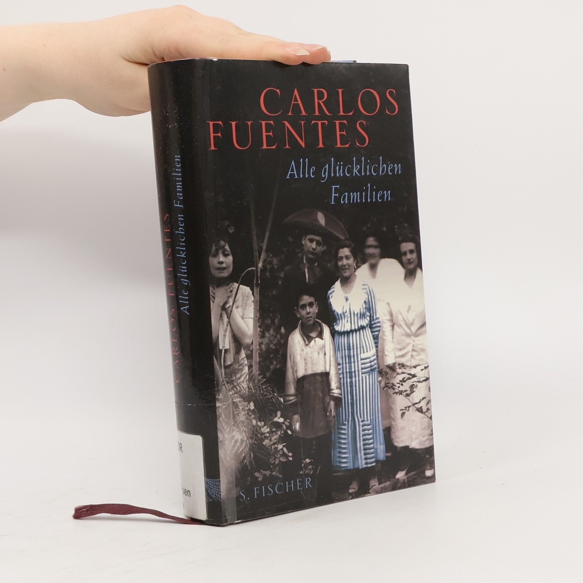 Carlos Fuentes Alle glücklichen Familien