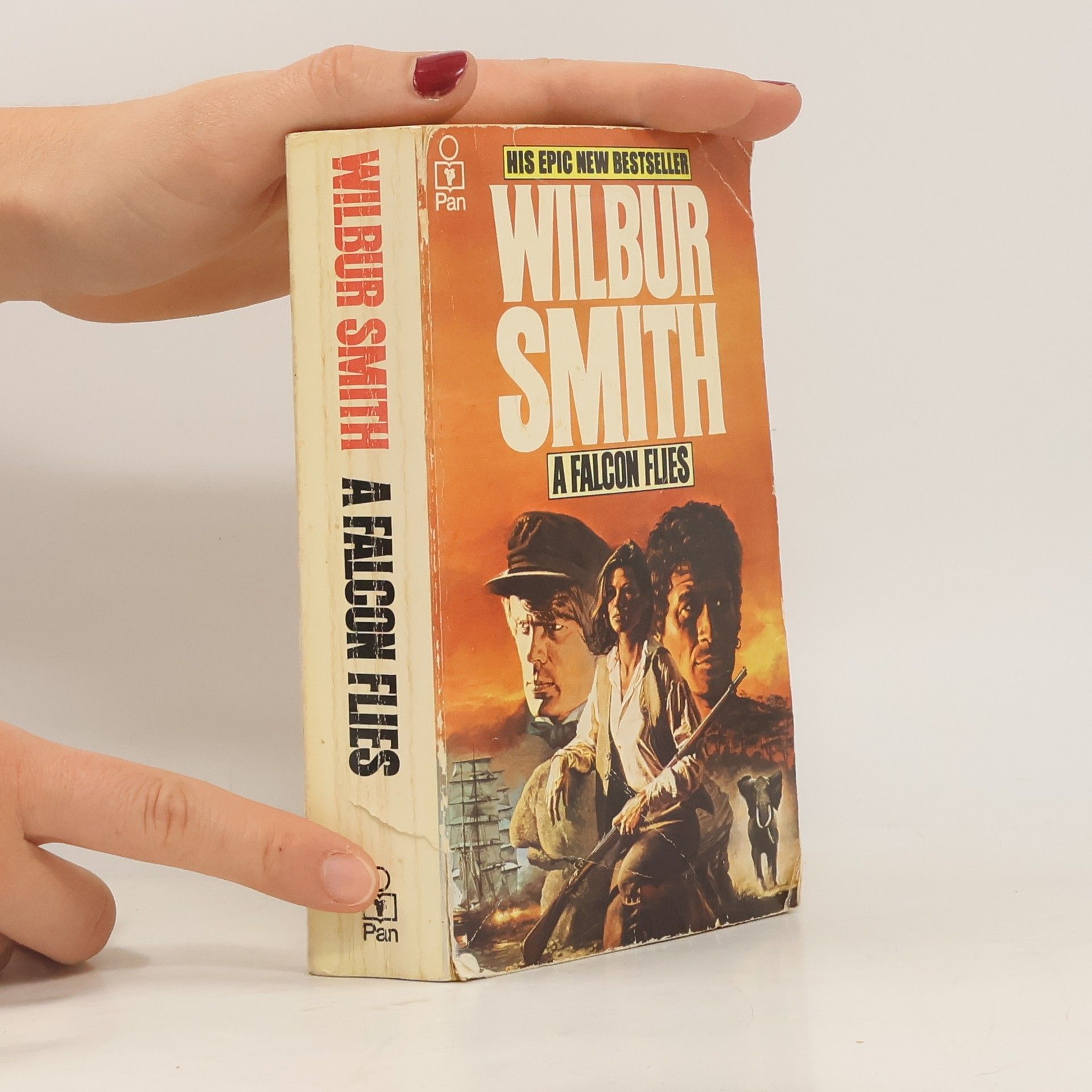 Wilbur Smith A Falcon Flies