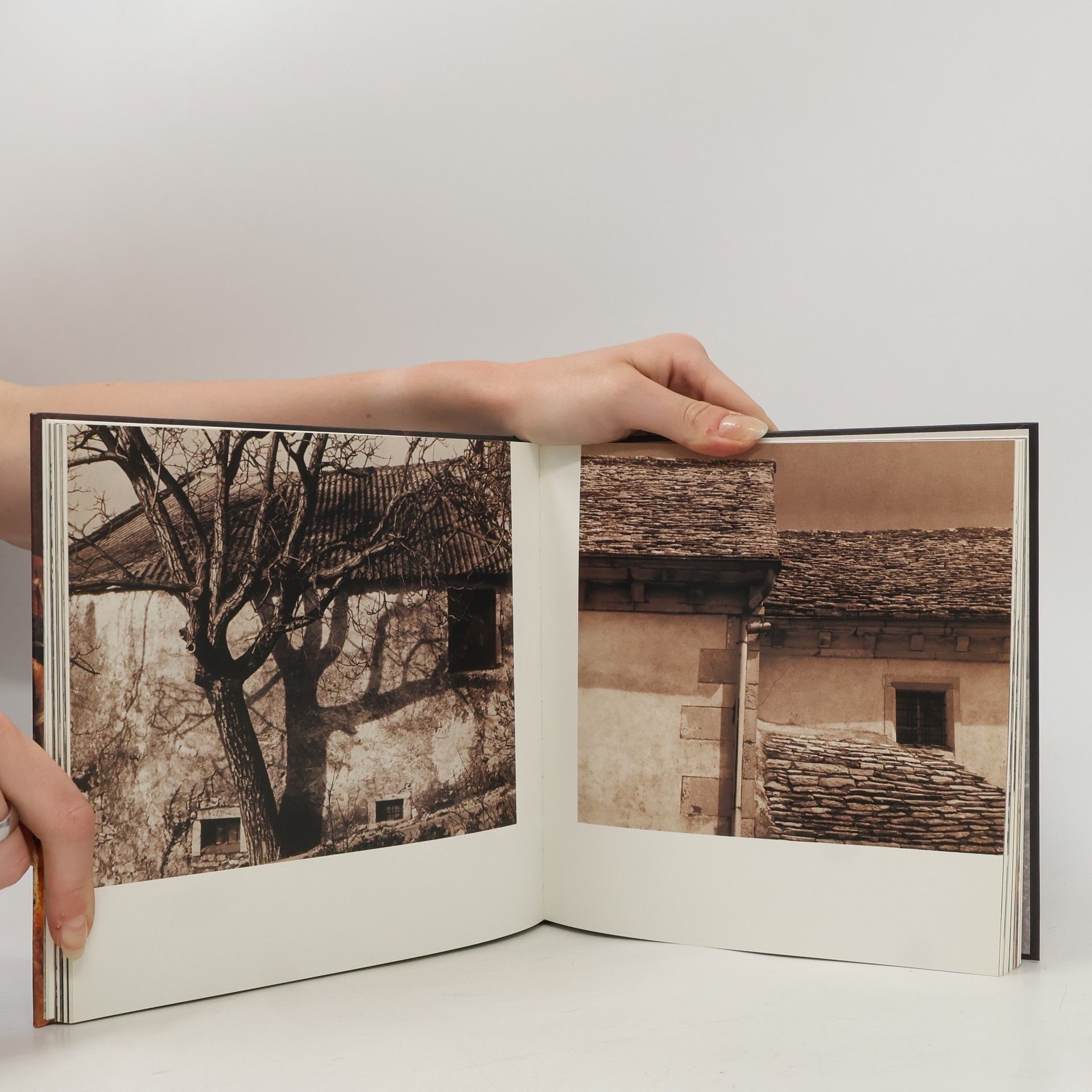 Christoph Wagner Der Karst. Kras. Il Carso