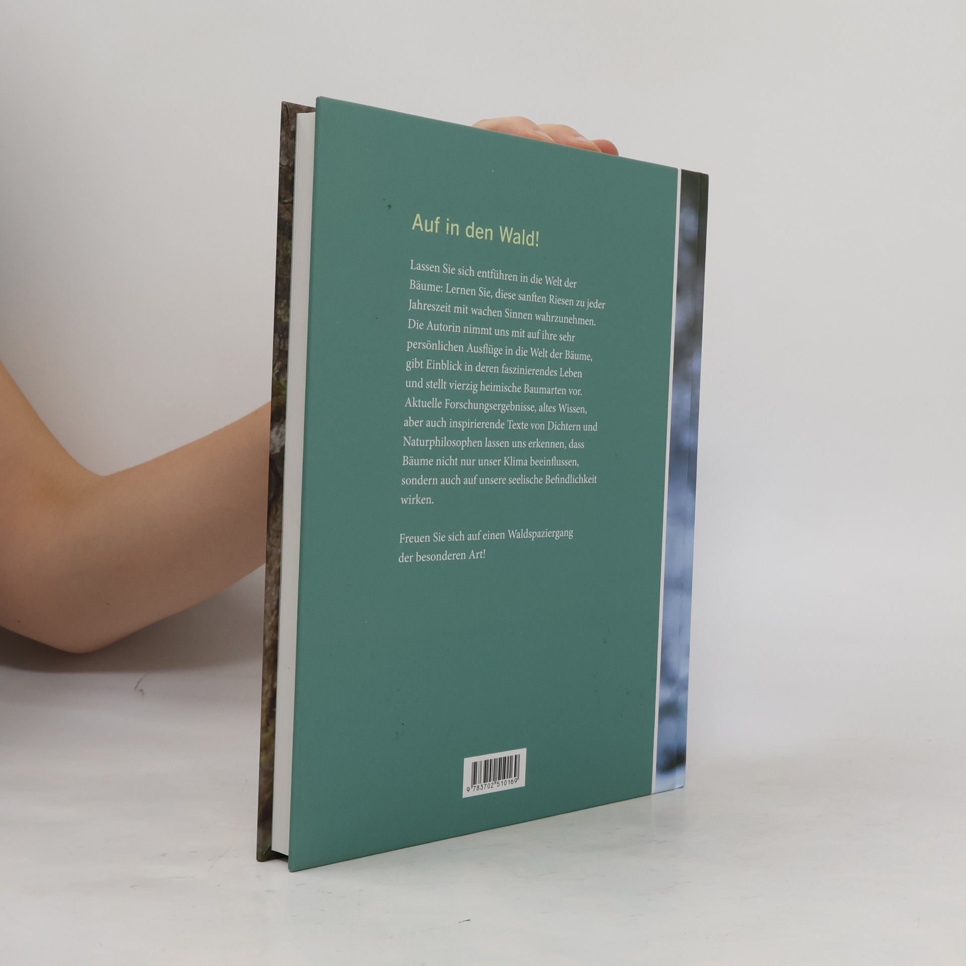 Karin Hochegger Bäume lesen lernen