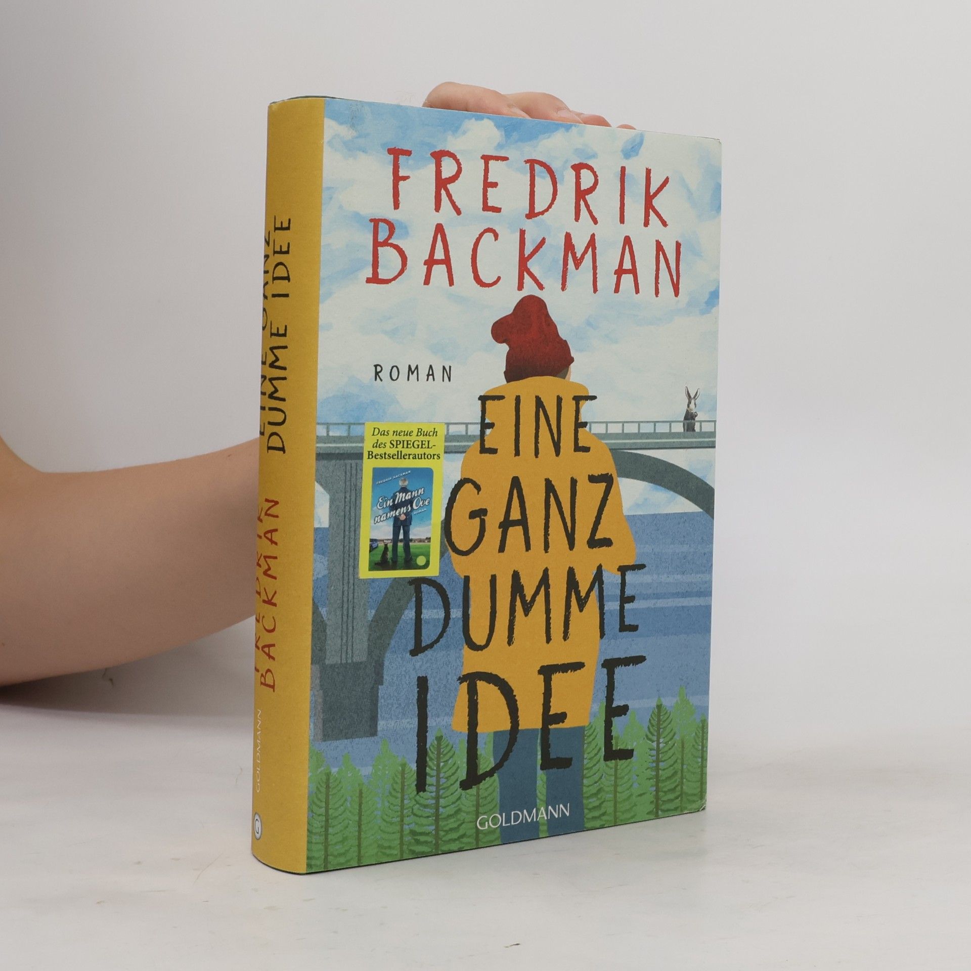 Fredrik Backman Eine Ganz dumme Idee