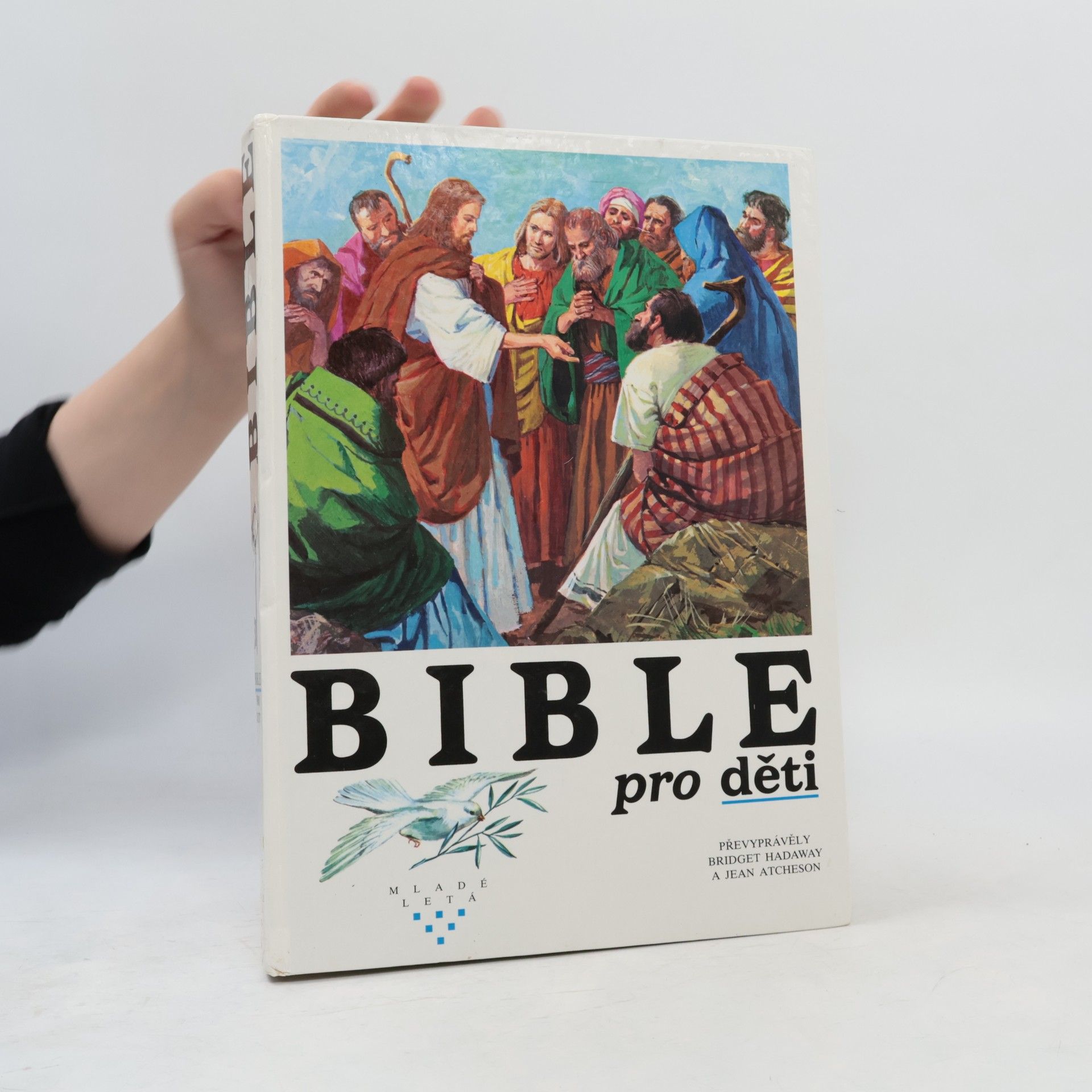Bridget Hadaway Bible pro děti