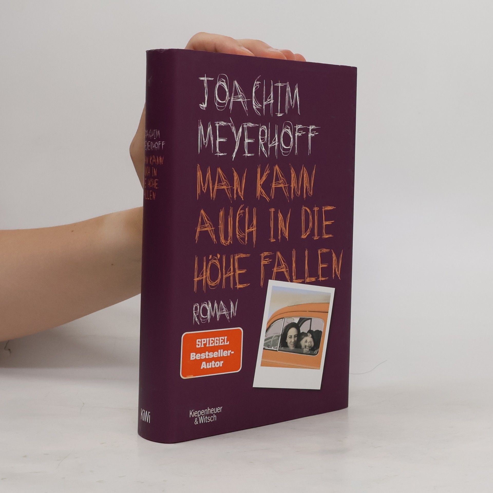 Joachim Meyerhoff Man kann auch in die Höhe fallen