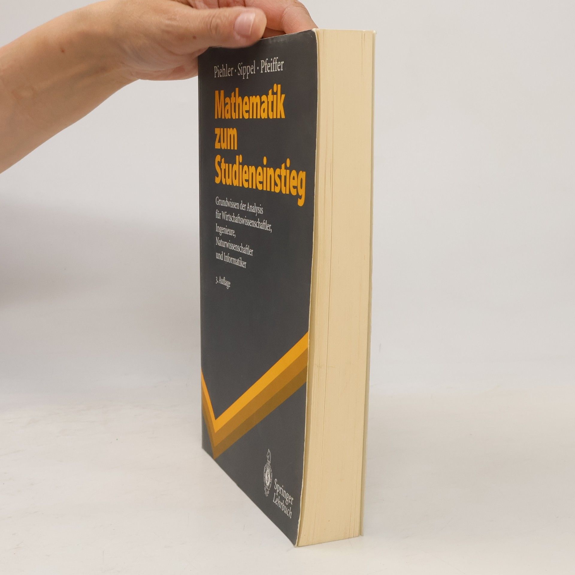 Gabriele Piehler Springer Lehrbuch: Mathematik zum Studieneinstieg