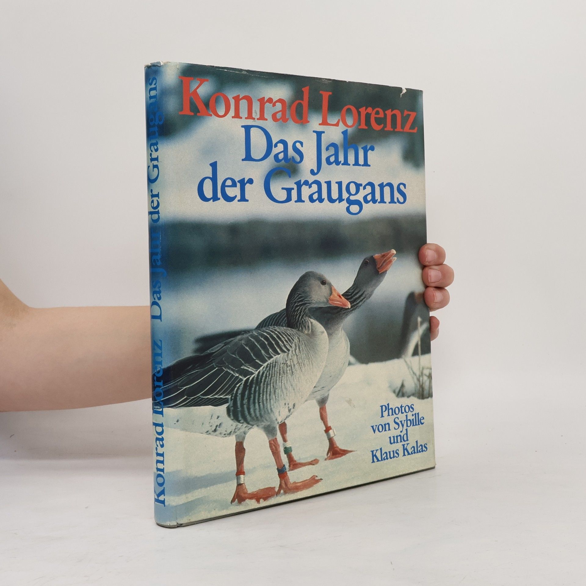 Konrad Lorenz Das Jahr der Graugans