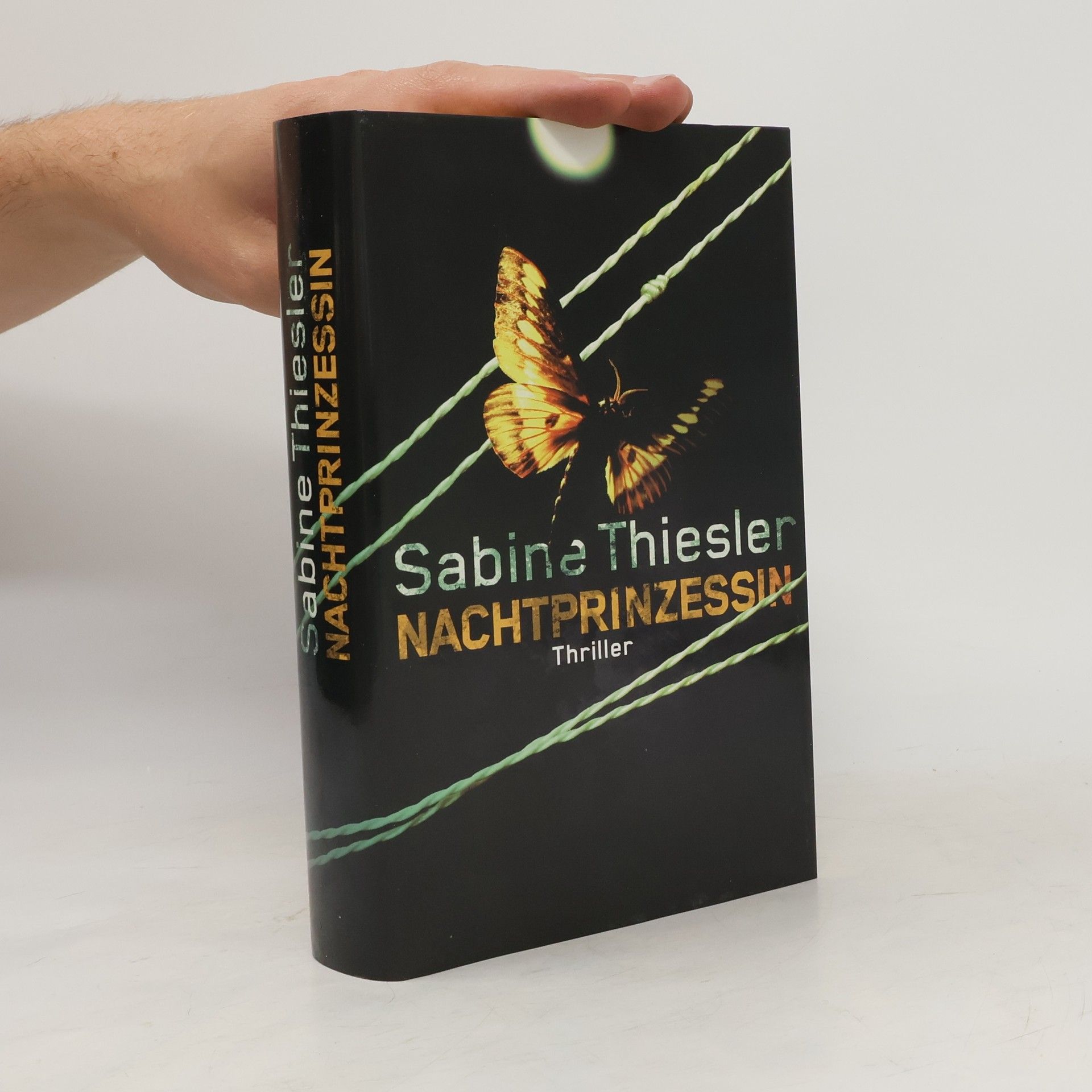 Sabine Thiesler Nachtprinzessin