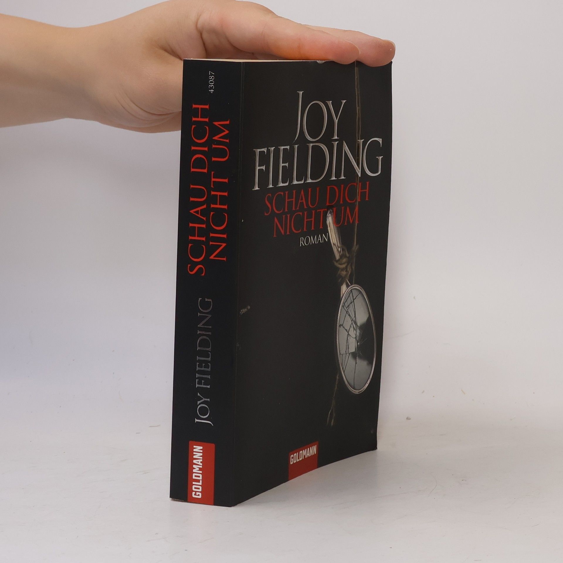 Joy Fielding Schau dich nicht um