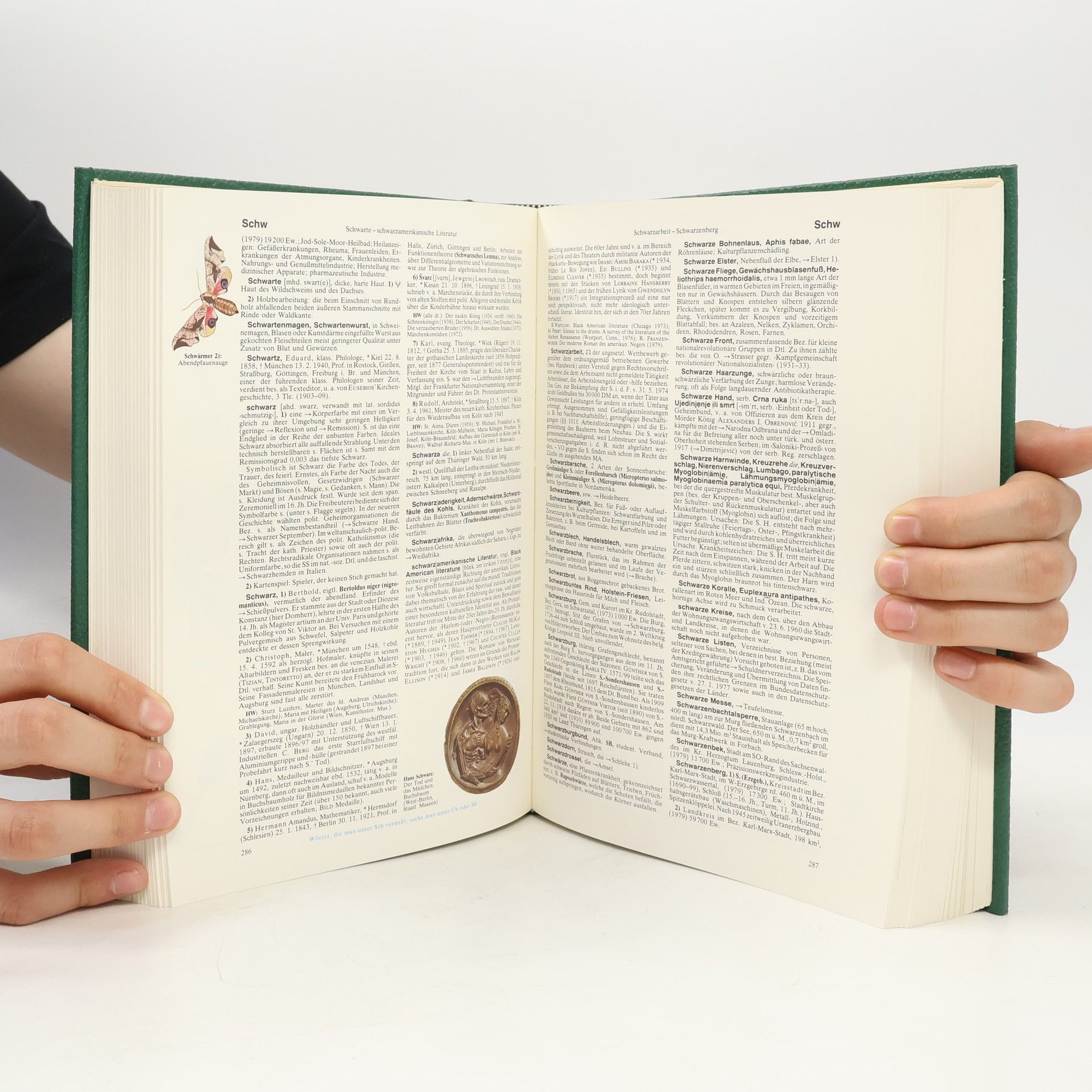 Autorenkollektiv Der grosse Brockhaus 10: Sad-Stac