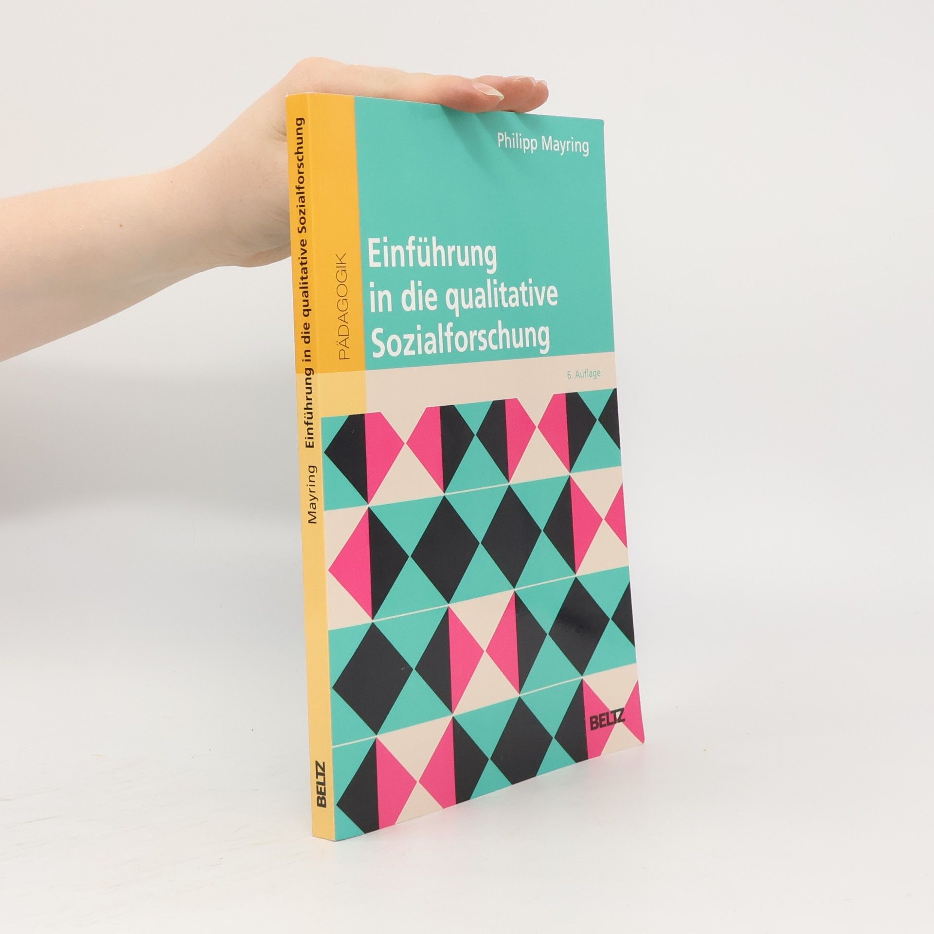 Philipp Mayring Einführung in die qualitative Sozialforschung