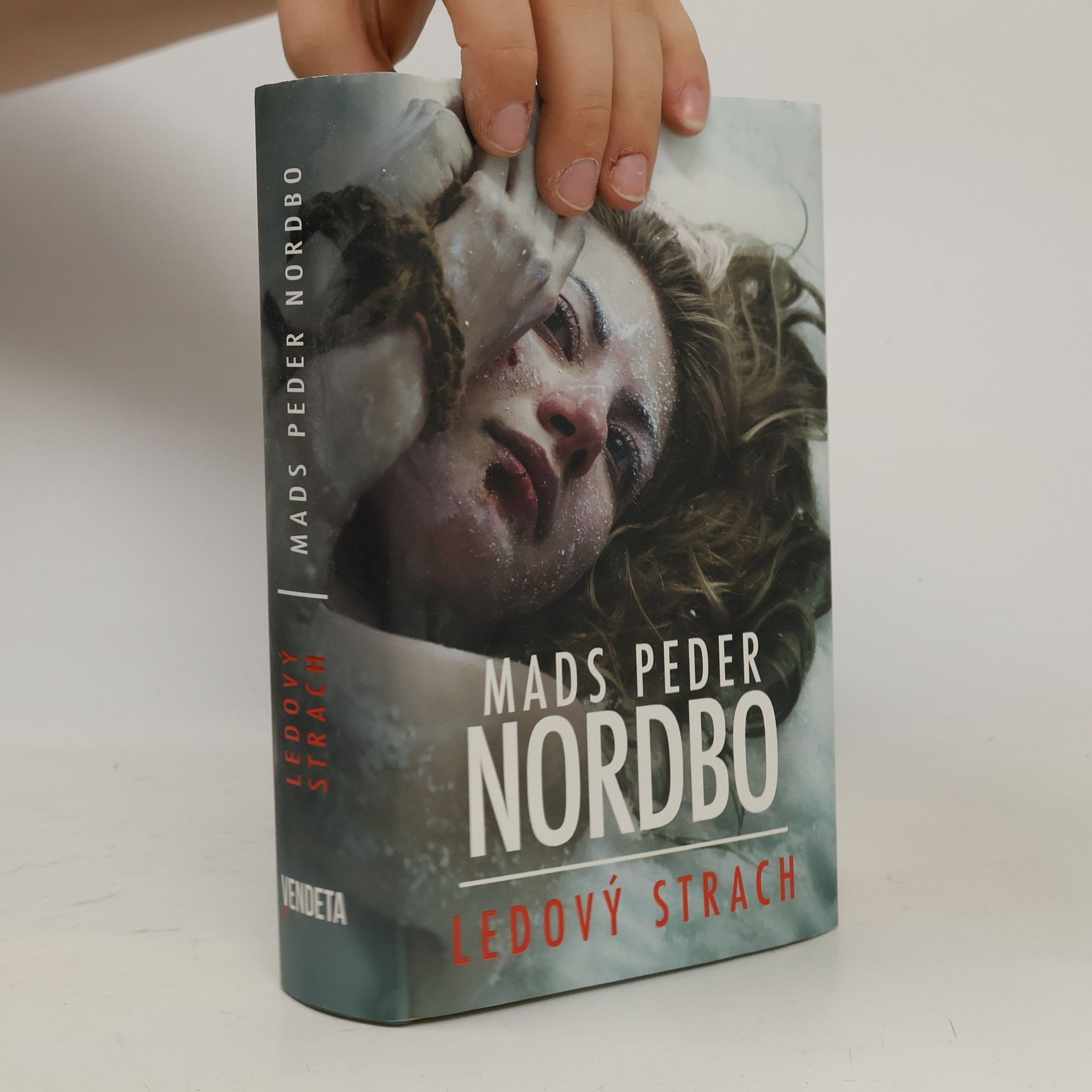 Mads Peder Nordbo Ledový strach