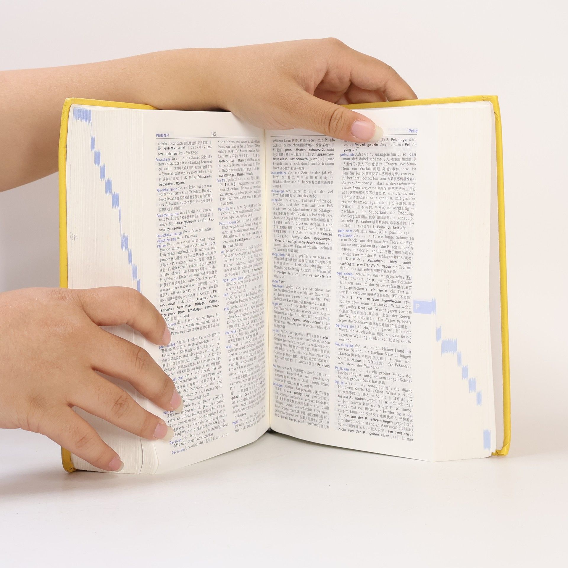 AA.VV. Langenscheidt Großwörterbuch. Deutsch als Fremdsprache. Deutsch - Chinesisch