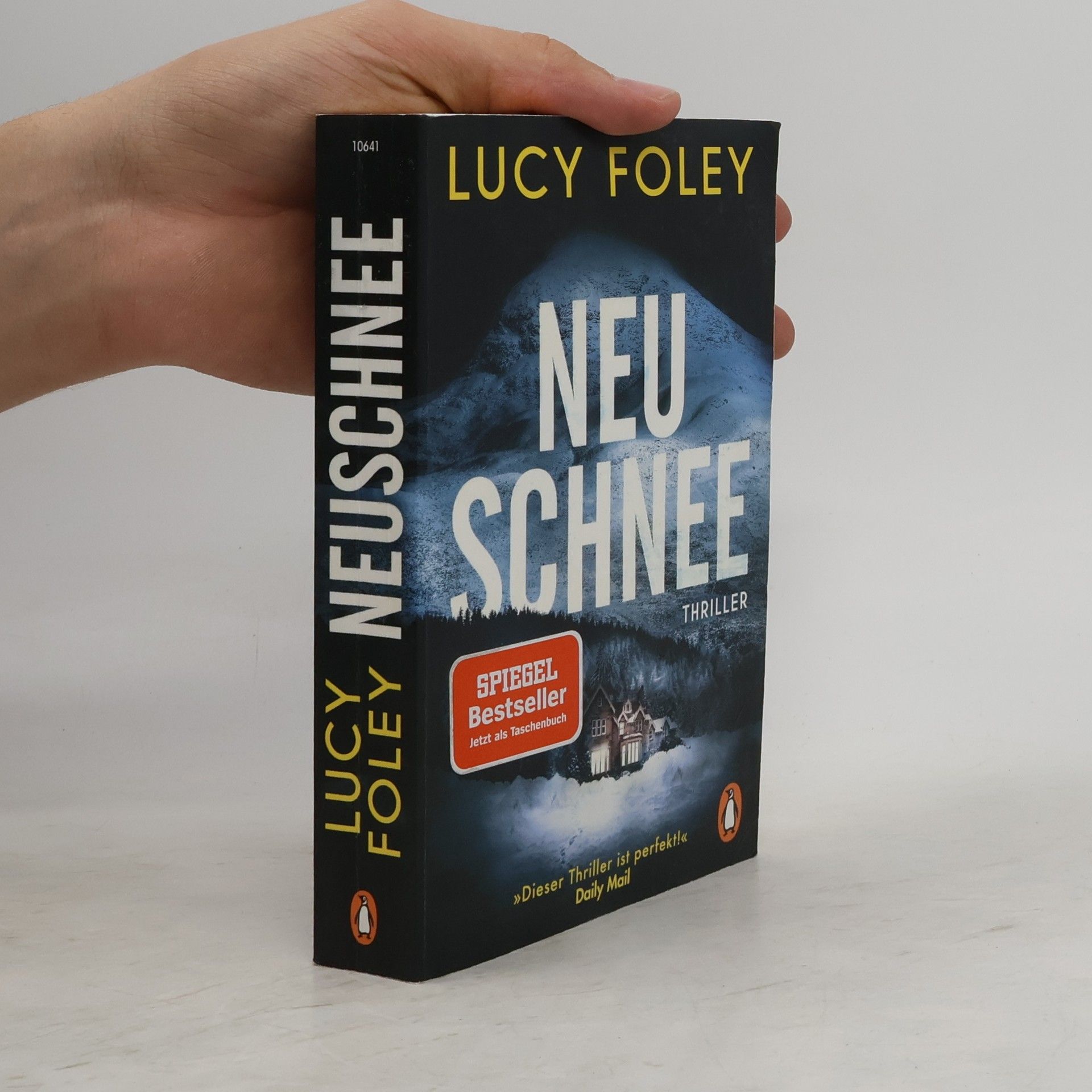 Lucy Foley Neuschnee