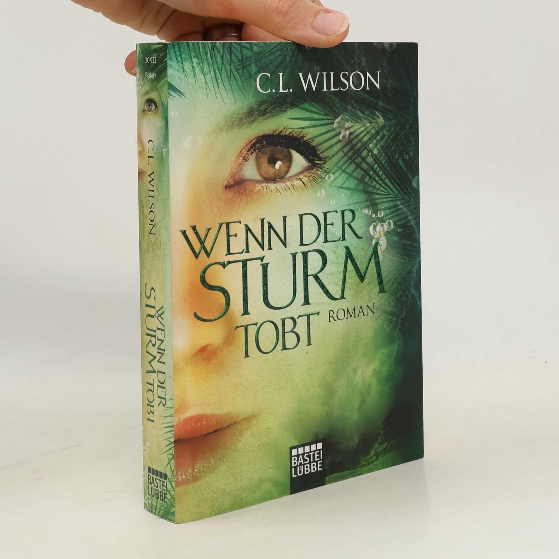 C. L. Wilson Wenn der Sturm tobt