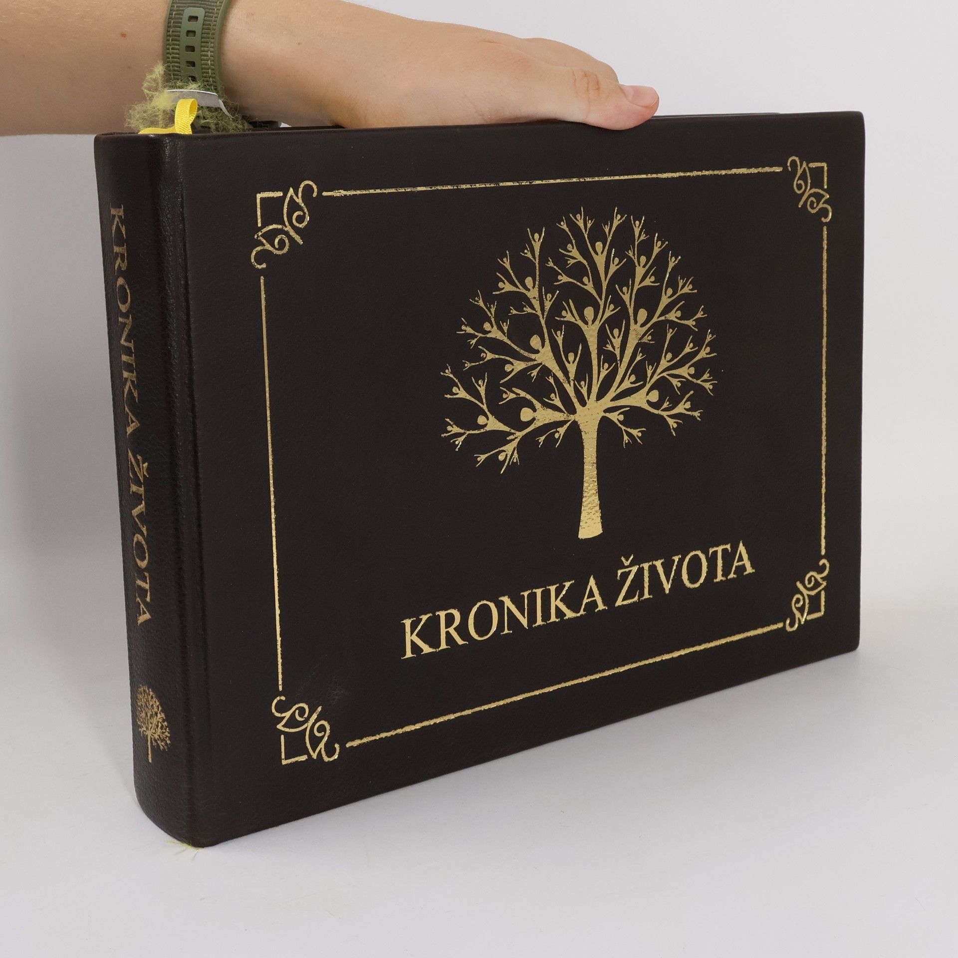 Auteurscollectief Kronika života