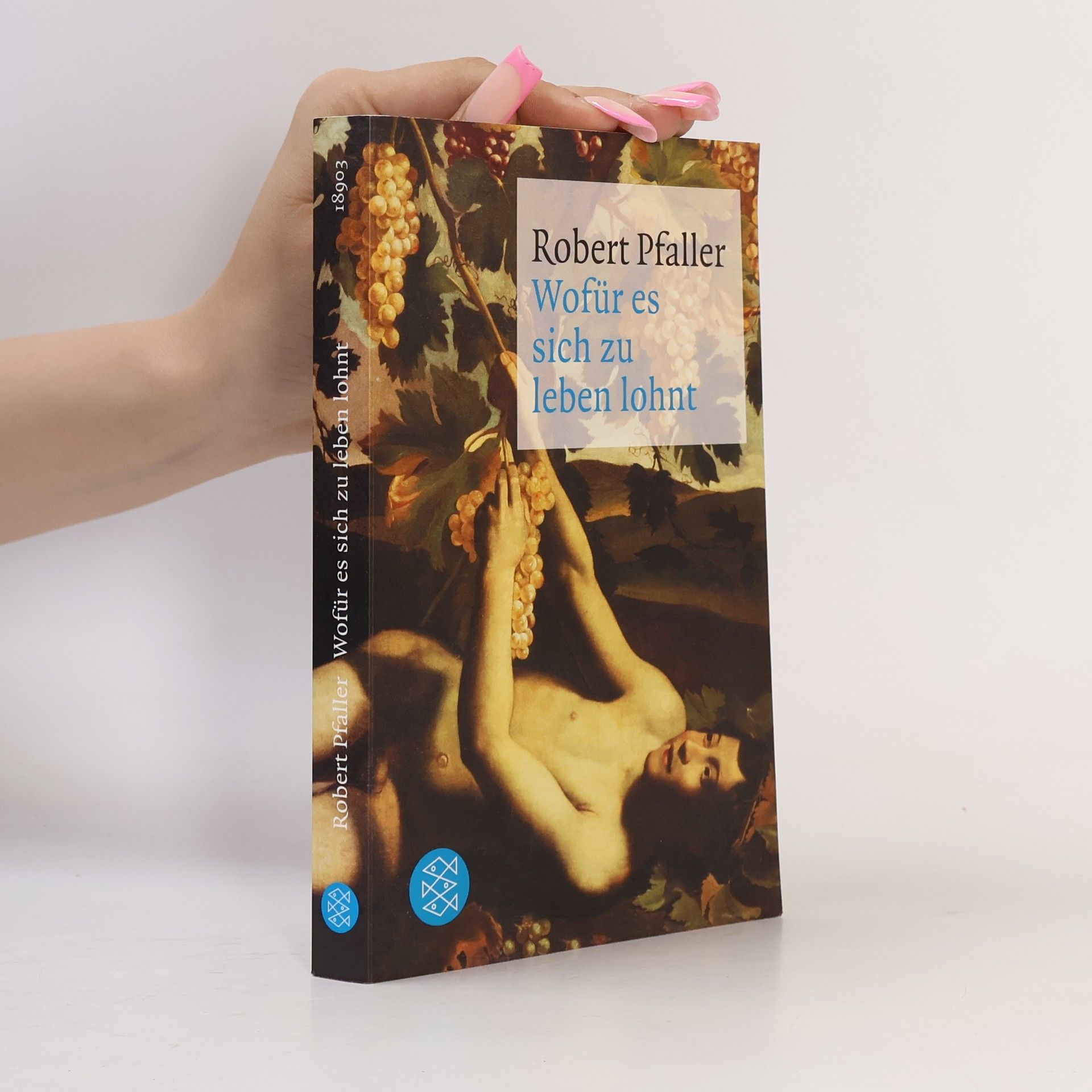 Robert Pfaller Wofür es sich zu leben lohnt