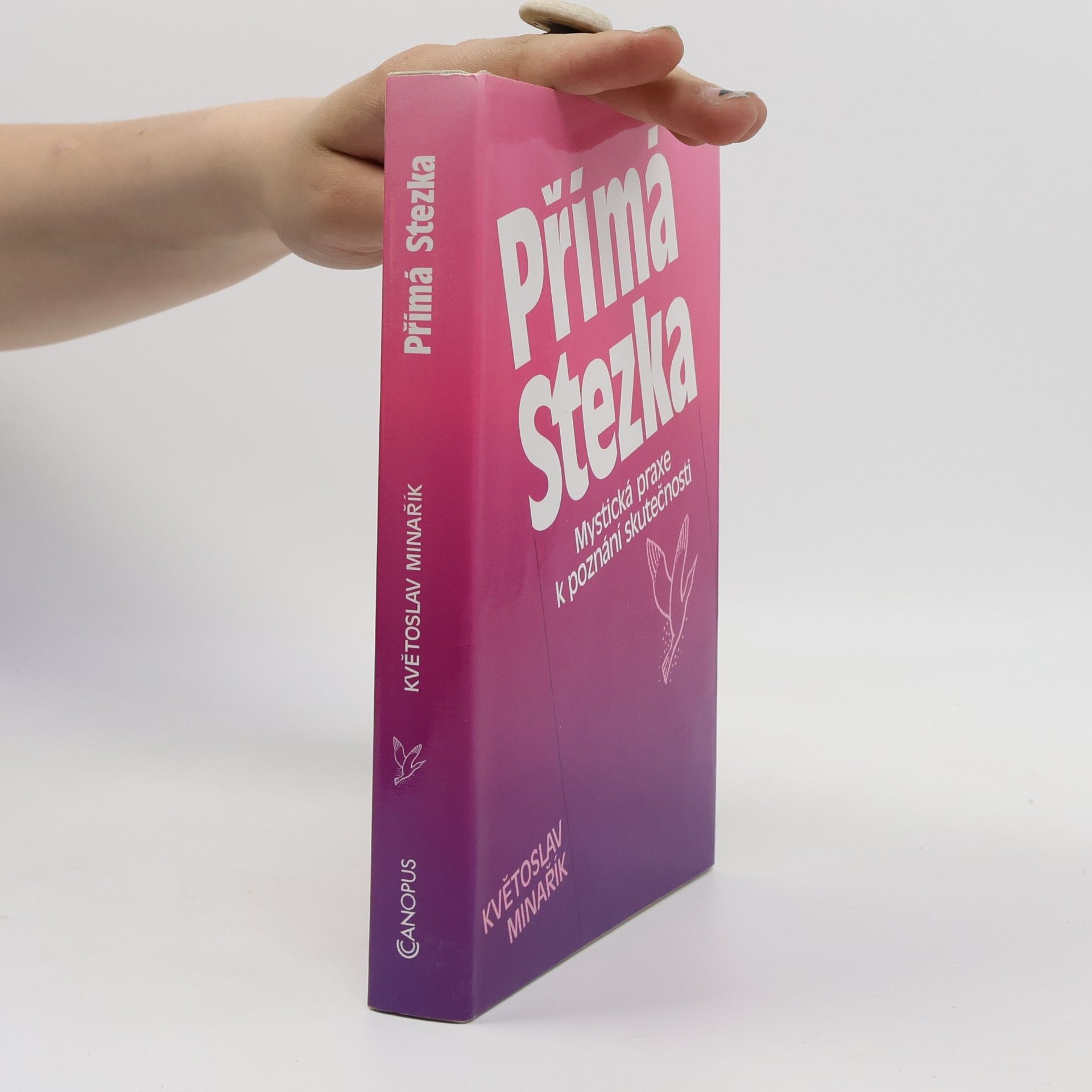 Květoslav Minařík Přímá stezka