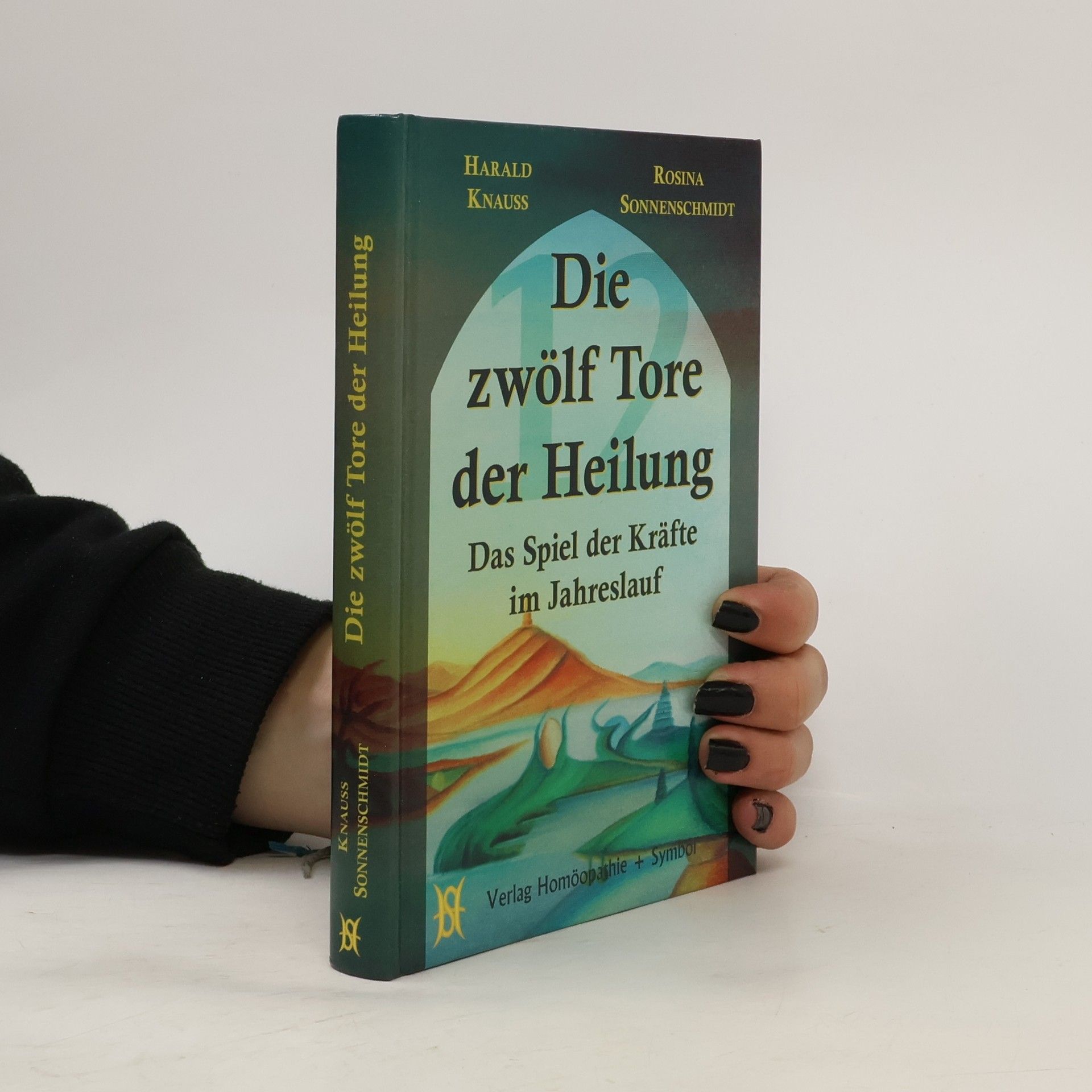 Harald Knauss Die zwölf Tore der Heilung