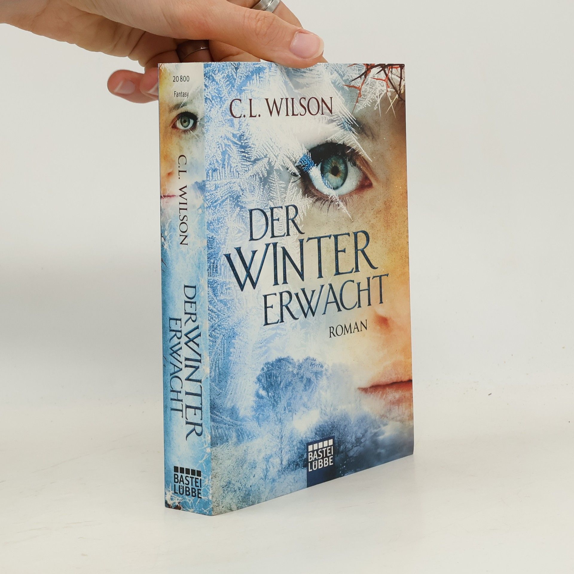Cecil Leeburn Wilson Der Winter Erwacht