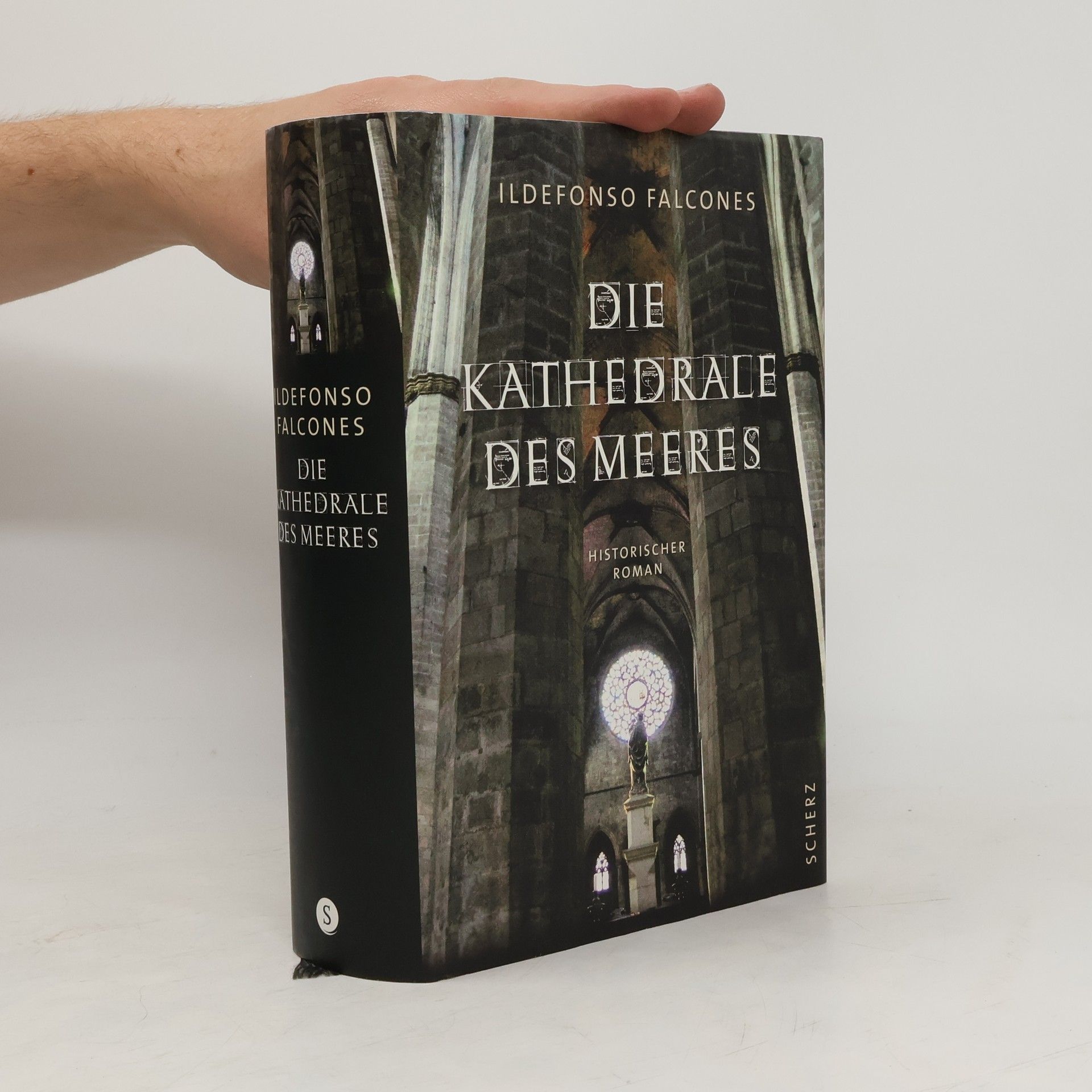Ildefonso Falcones Die Kathedrale des Meeres