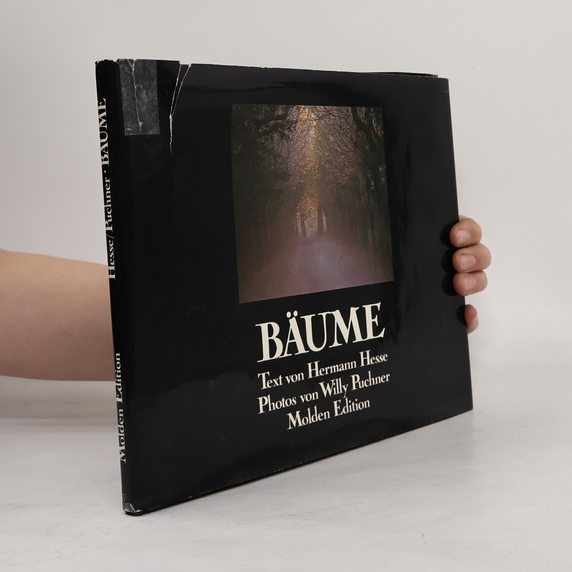 Hermann Hesse Bäume
