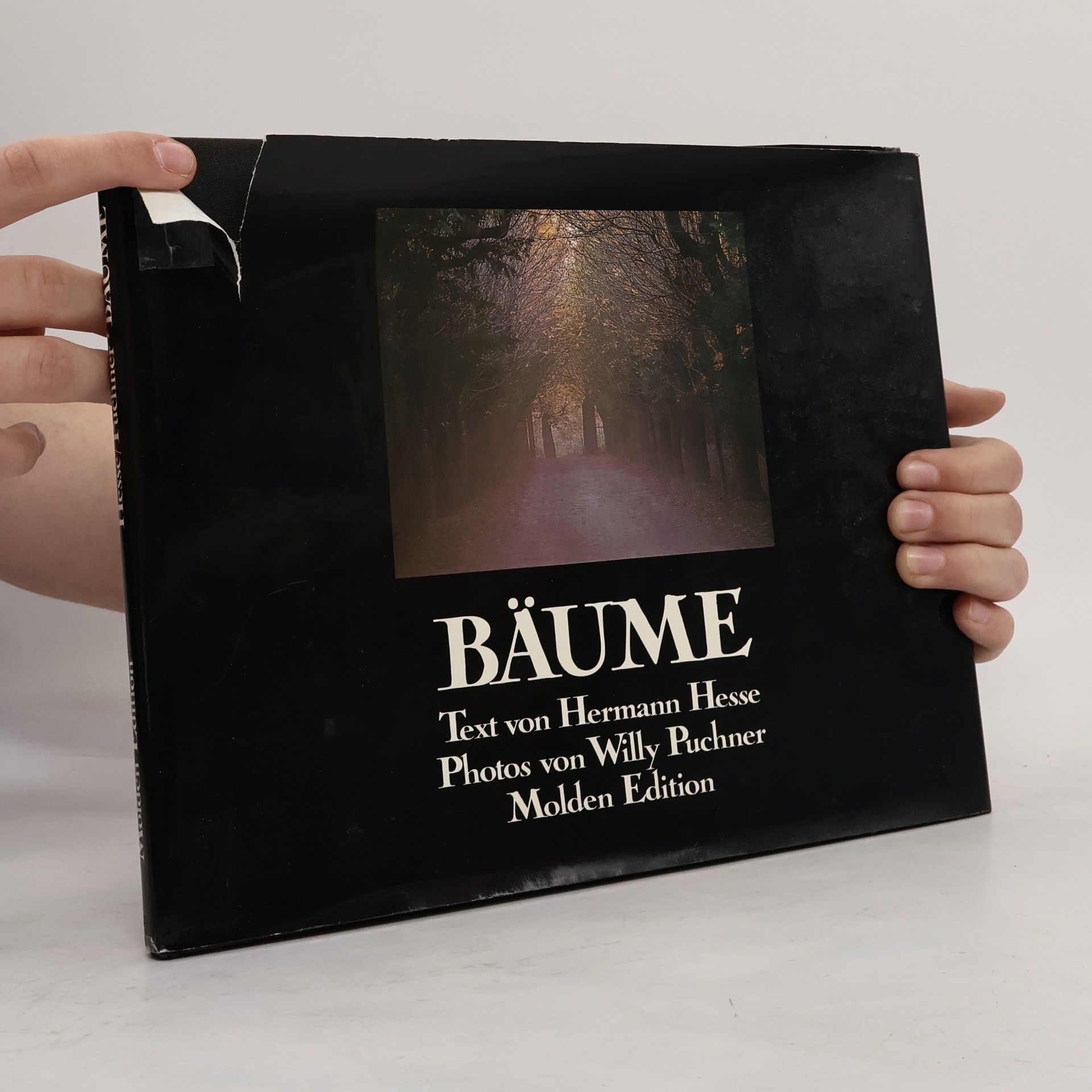 Hermann Hesse Bäume