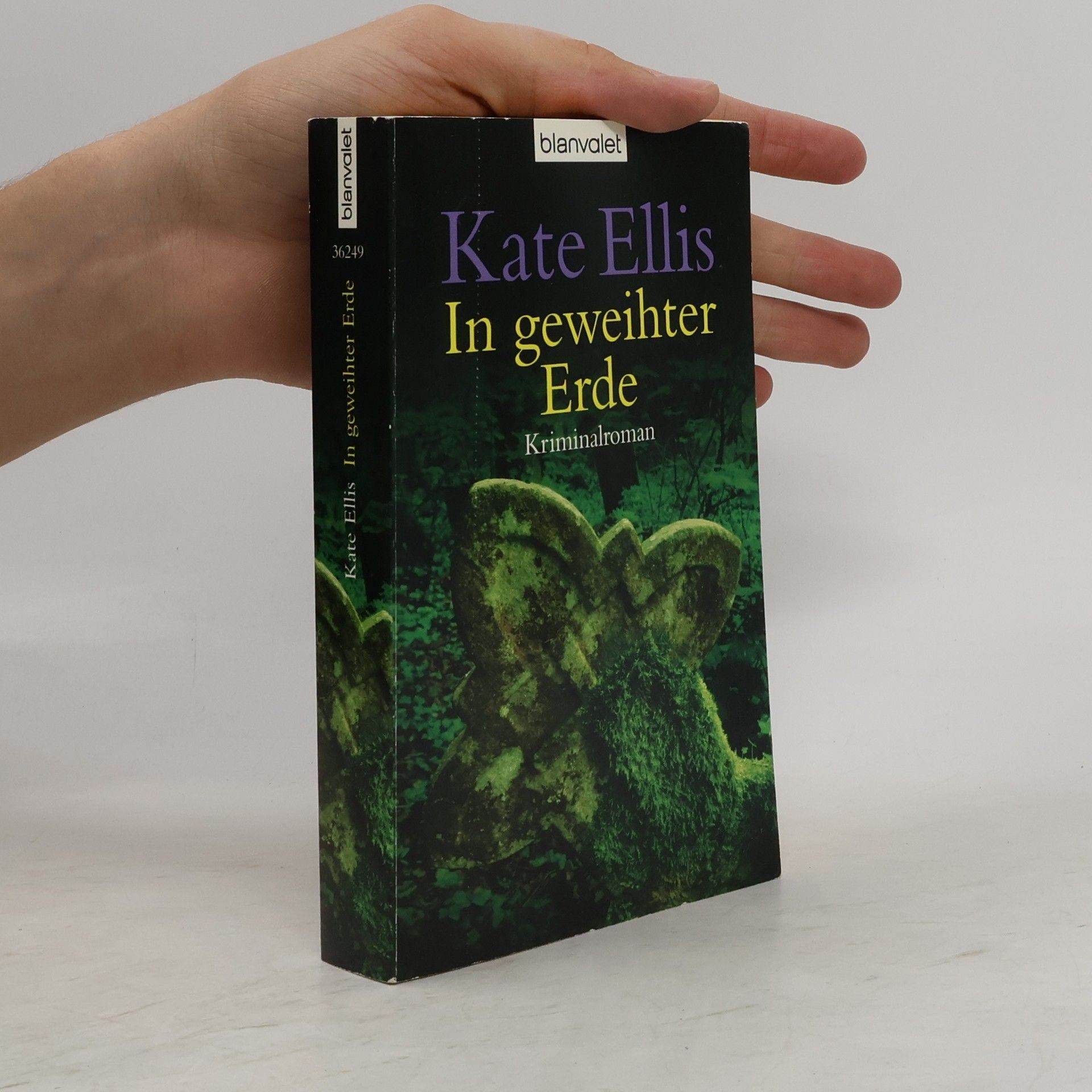 Kate Ellis In geweihter Erde