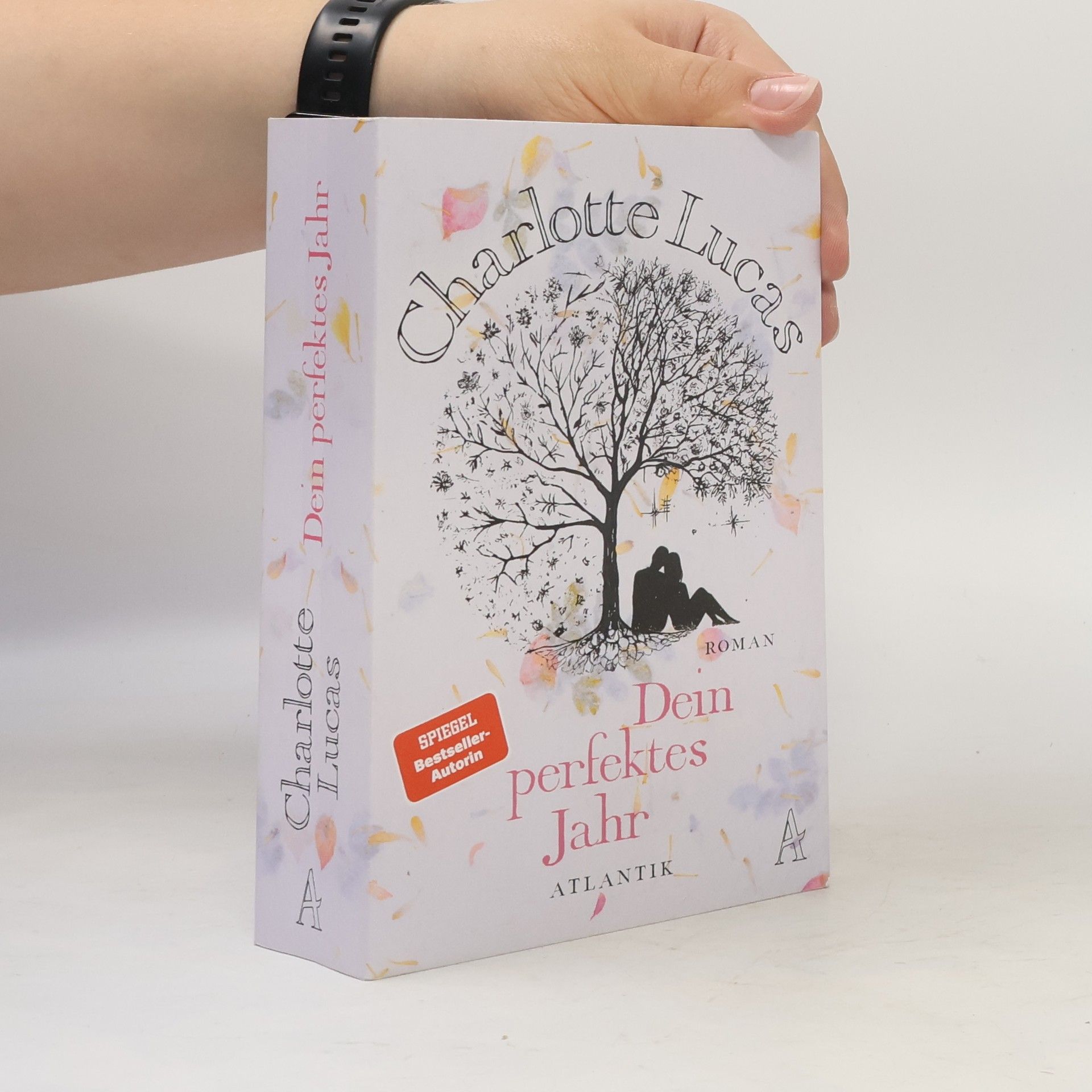 Charlotte Lucas Dein perfektes Jahr
