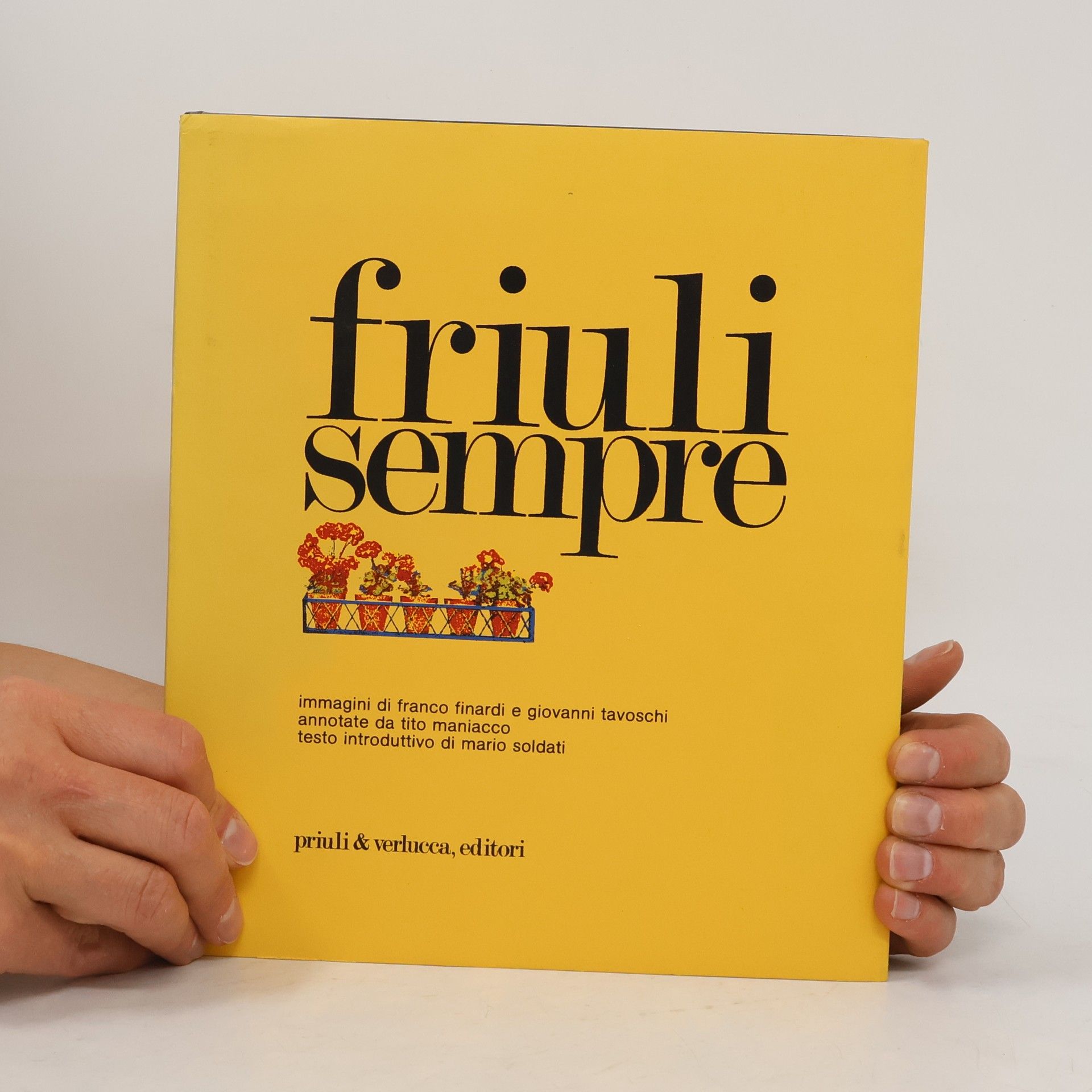 Auteurscollectief Friuli sempre