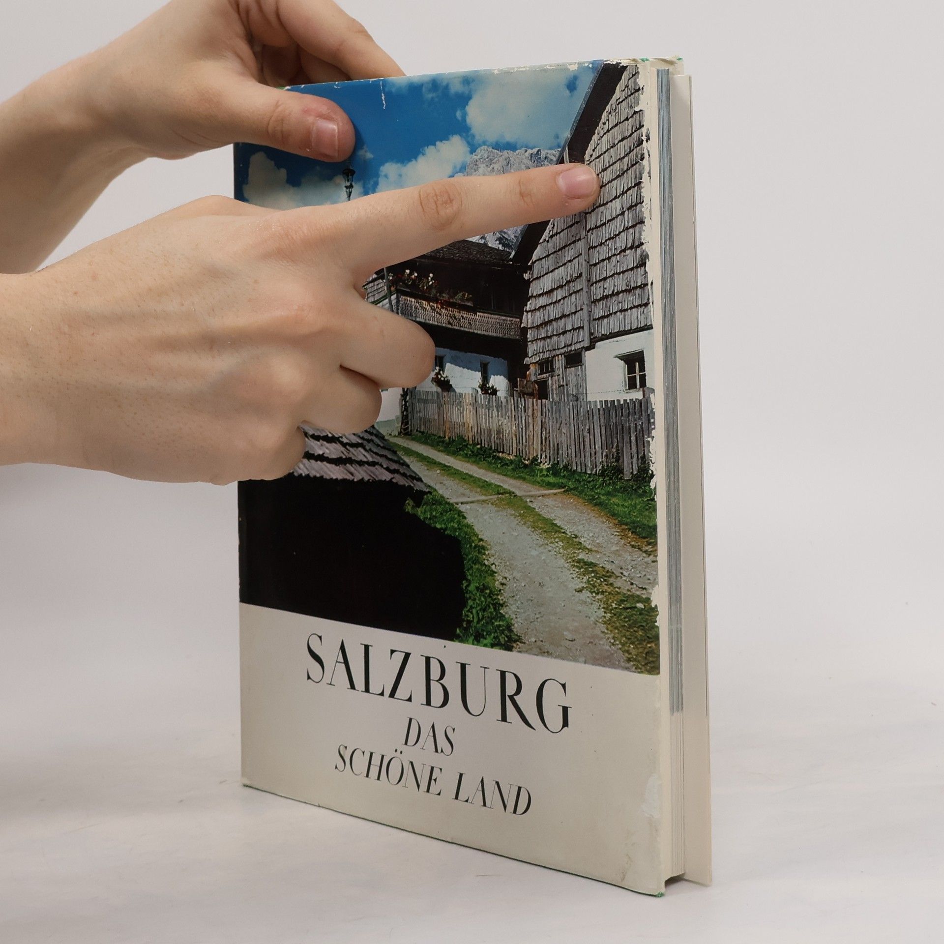 Auteurscollectief Salzburg. Das Schöne Land