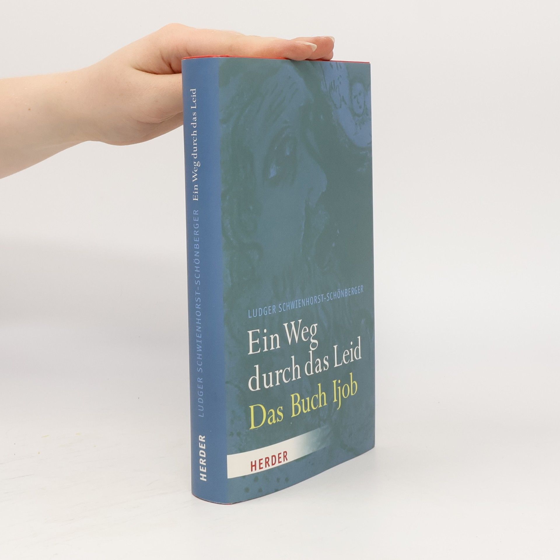 Ludger Schwienhorst-Schönberger Ein Weg durch das Leid