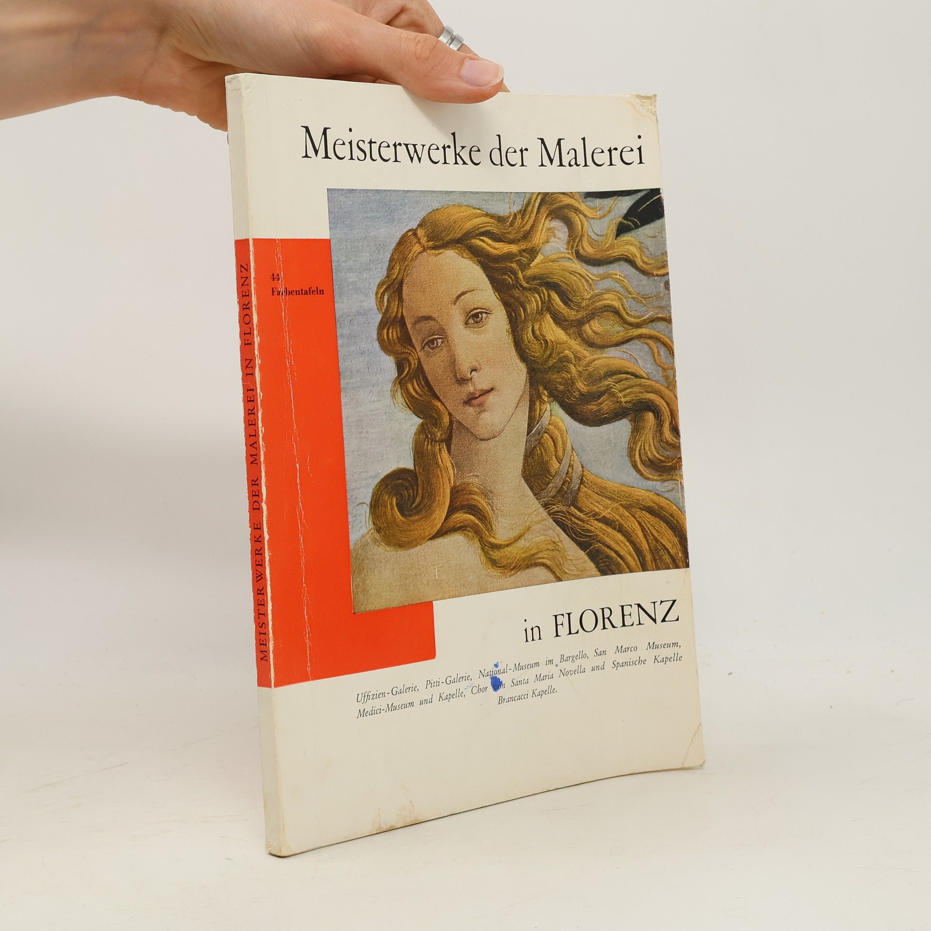 AA.VV. Meisterwerke der Malerei in Florenz