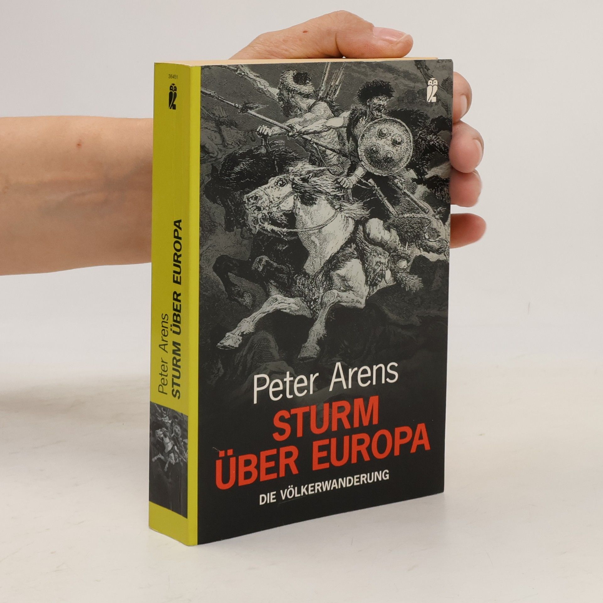 Peter Arens Sturm über Europa