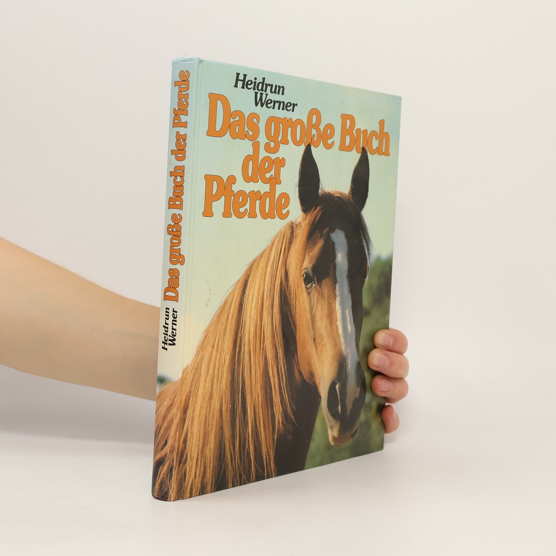 Heidrun Werner Das große Buch der Pferde