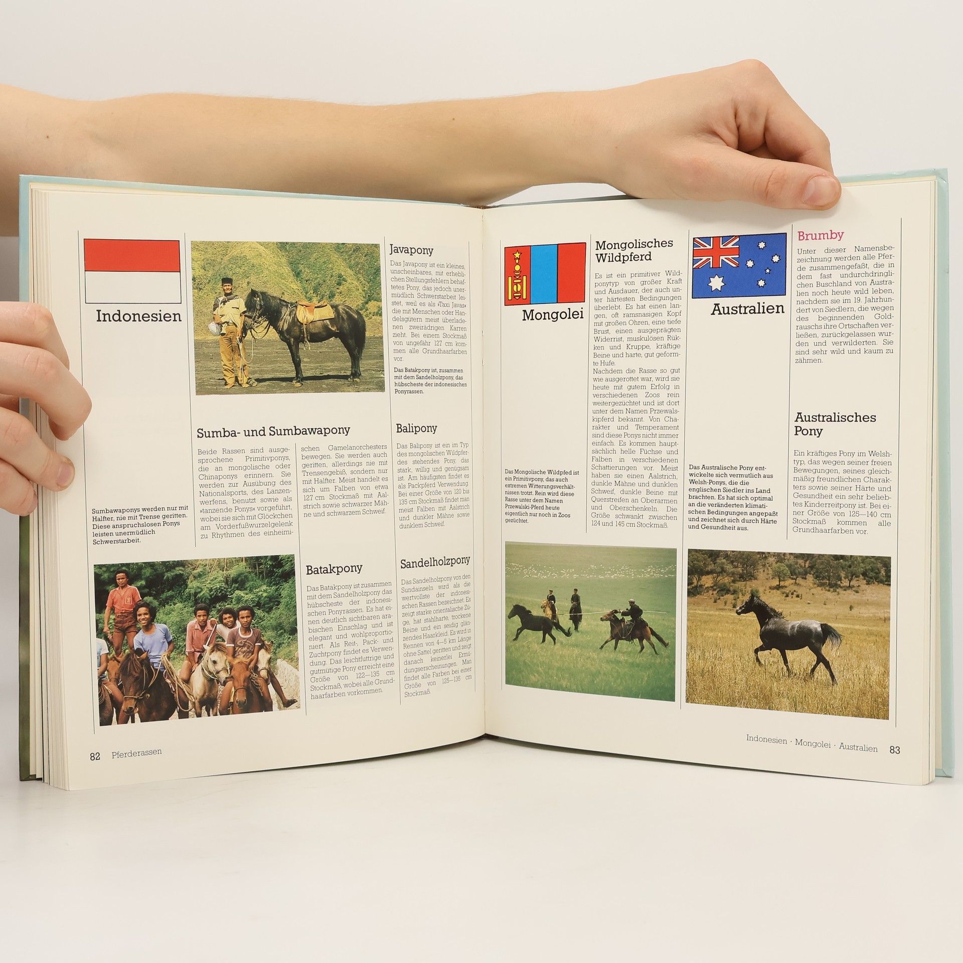 Heidrun Werner Das große Buch der Pferde