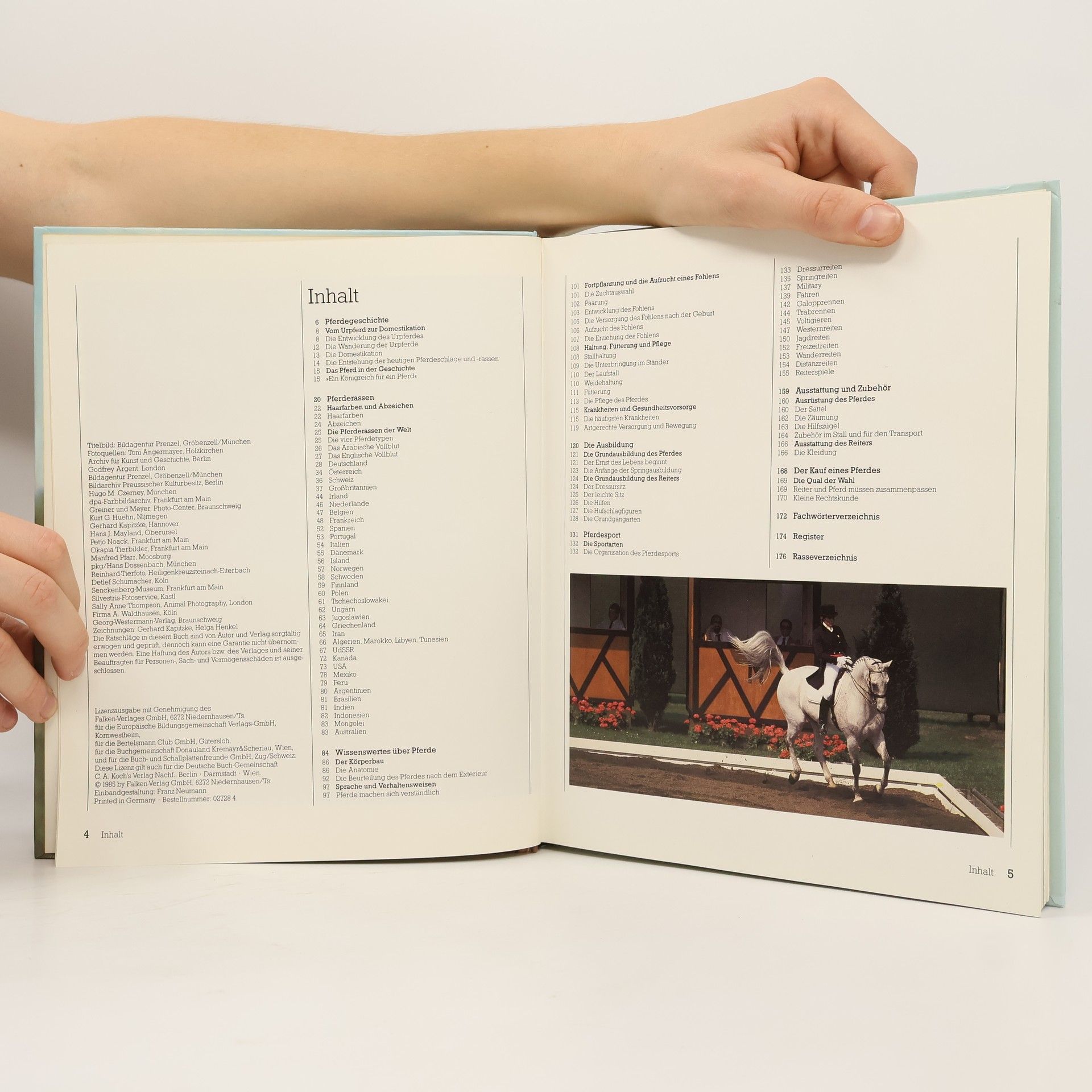 Heidrun Werner Das große Buch der Pferde