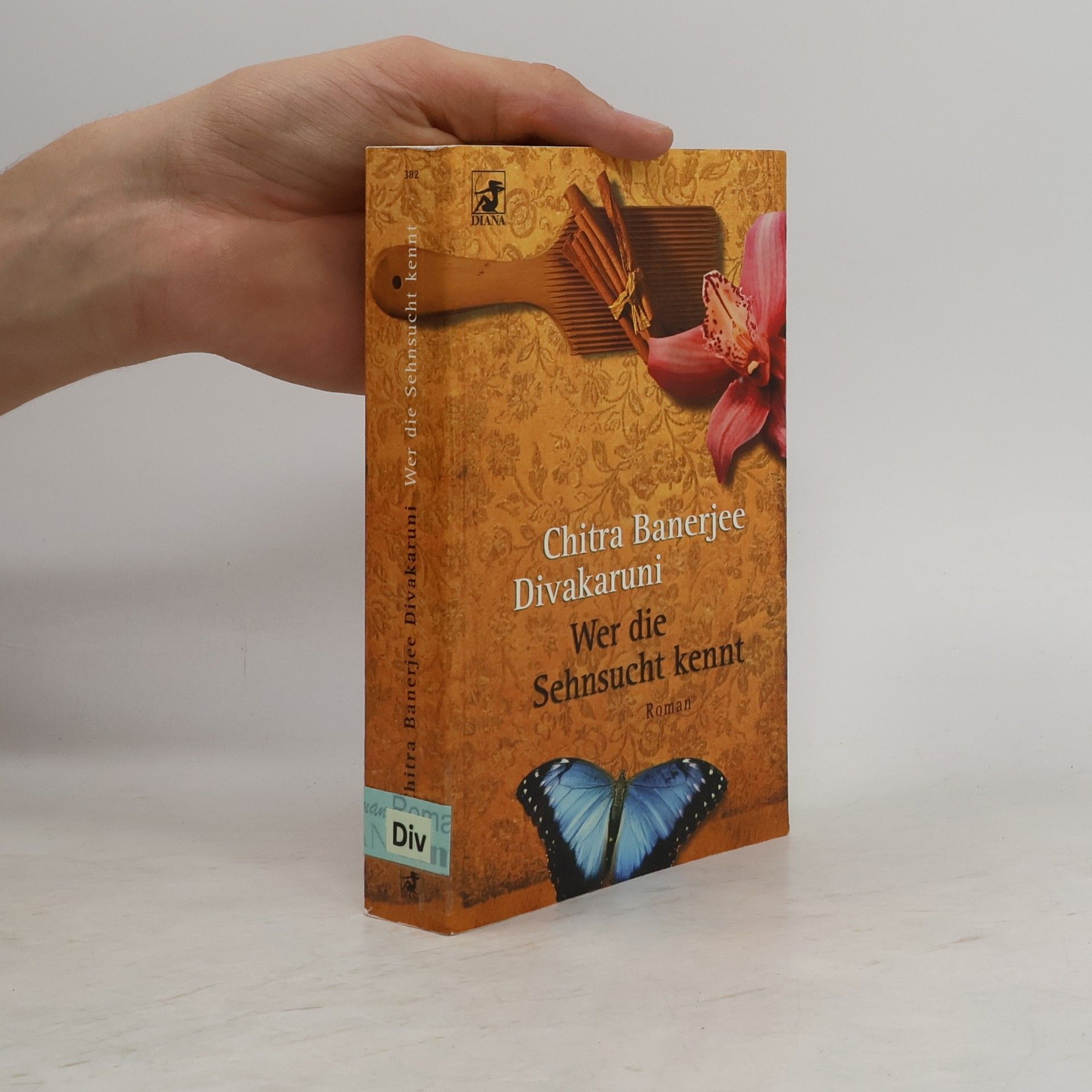 Chitra Banerjee Divakaruni Wer die Sehnsucht kennt